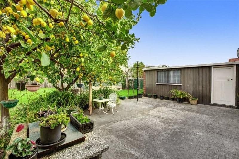 40 Rennie Street, COBURG VIC 3058, Coburg - Thumbnail 8