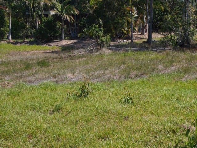 61 Petrel Avenue, RIVER HEADS QLD 4655, River Heads - Thumbnail 4