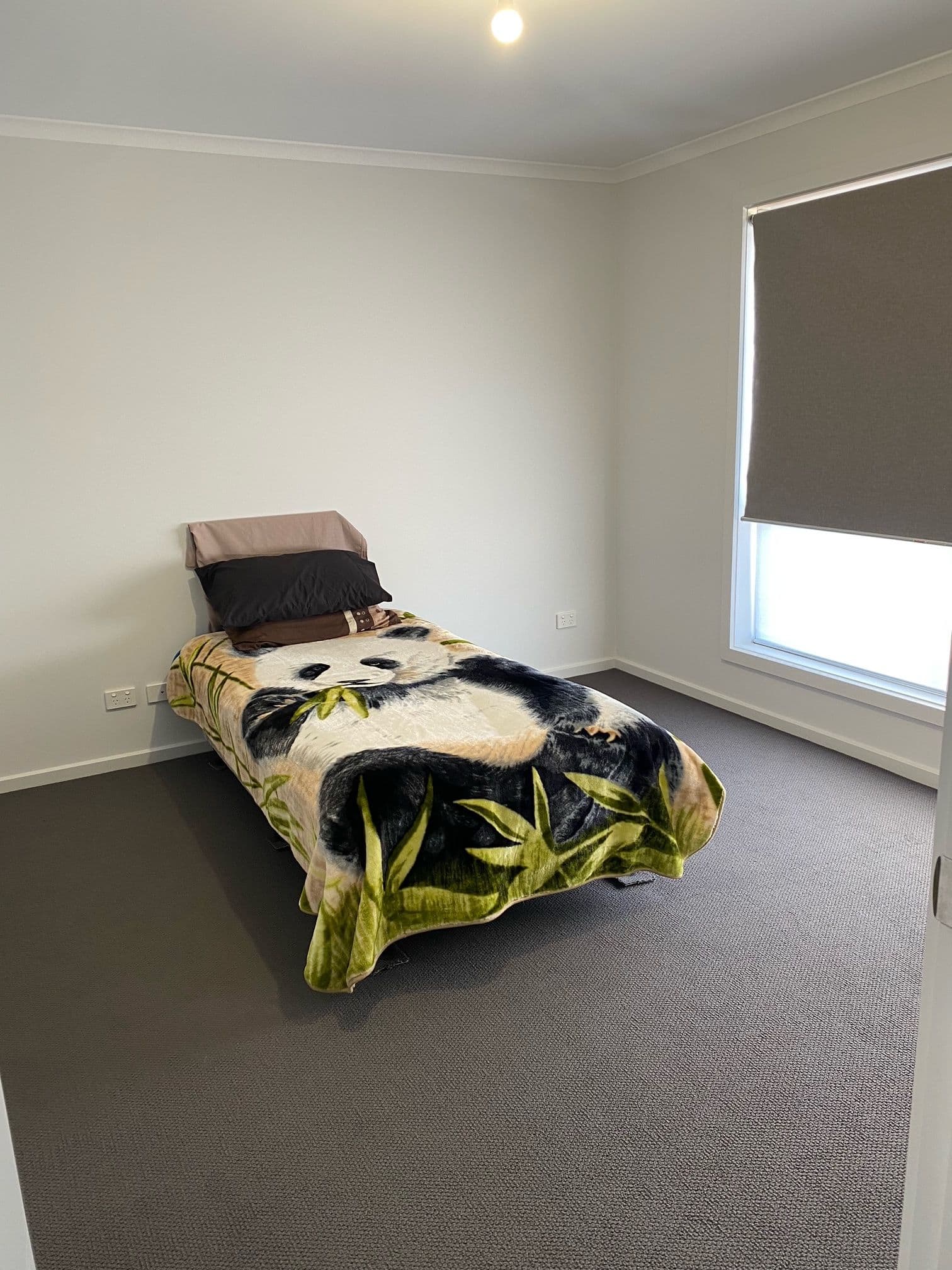 11 First Street, Wingfield SA 5013, Wingfield - Thumbnail 3