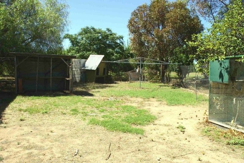 1 & 25 Ral Ral Avenue, RENMARK SA 5341, Renmark - Thumbnail 8