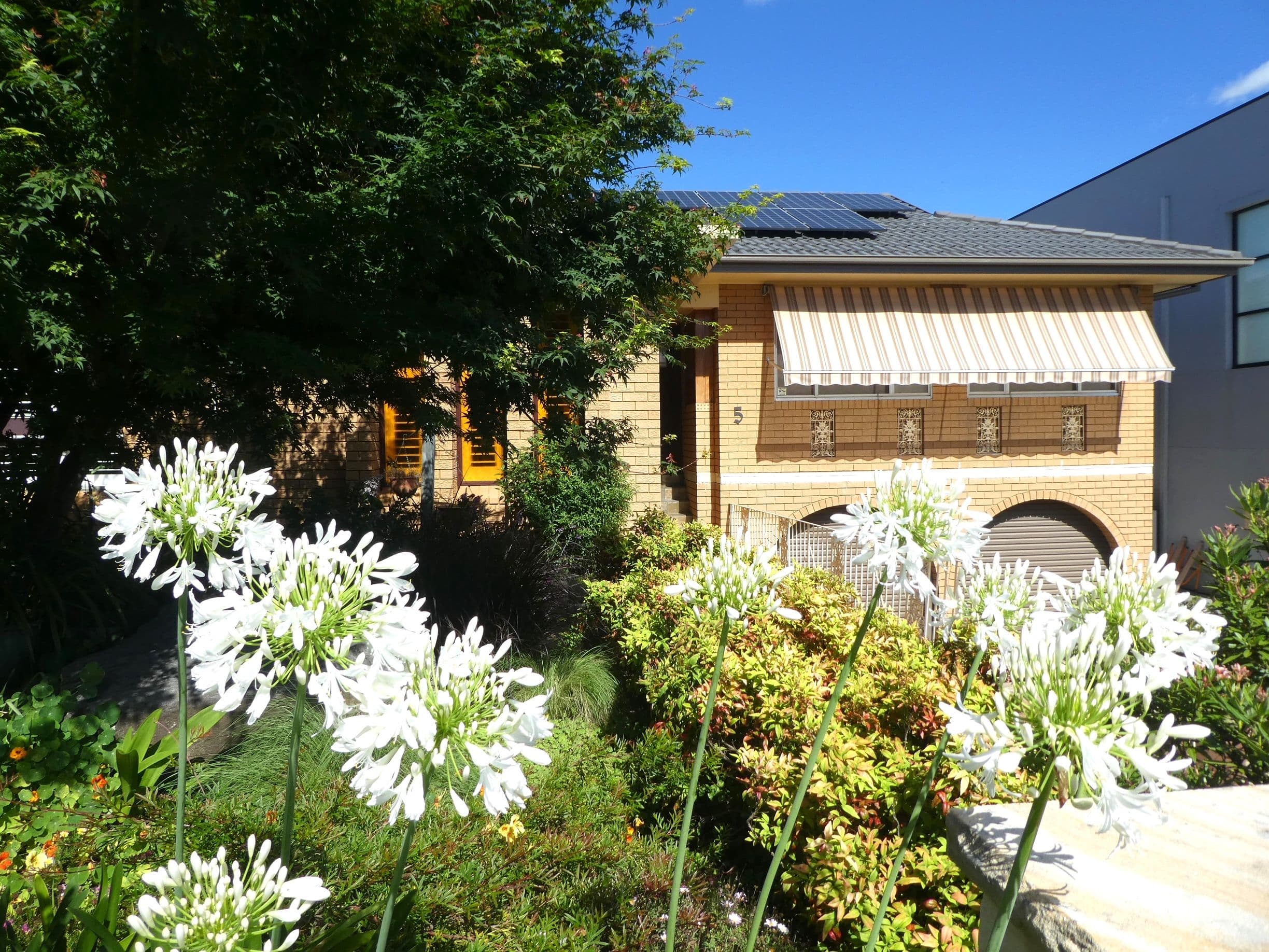 5 Kalyan Avenue, Bradbury NSW 2560, Bradbury - Image 1