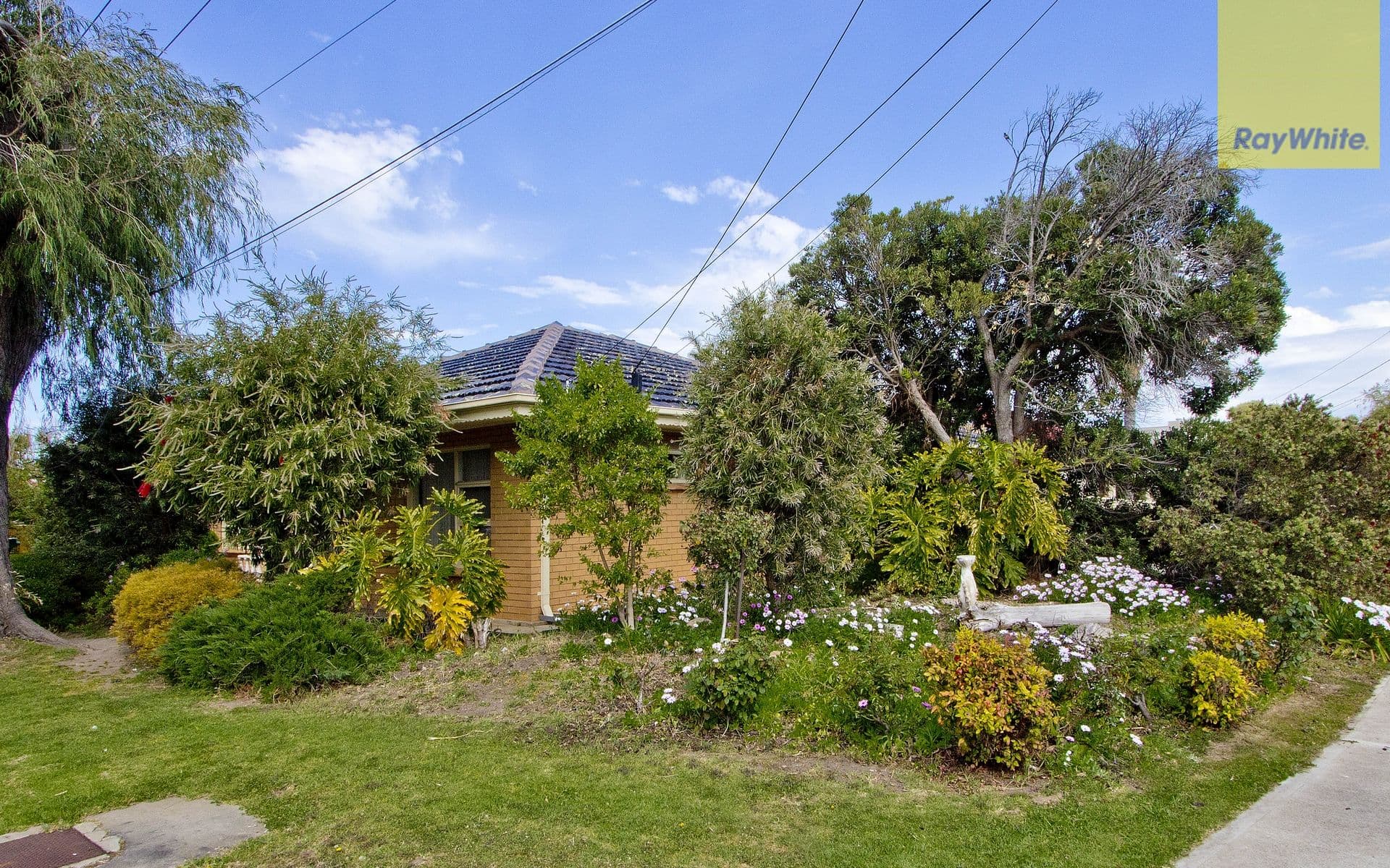 19 Gray Street, West Beach SA 5024, West Beach - Thumbnail 3
