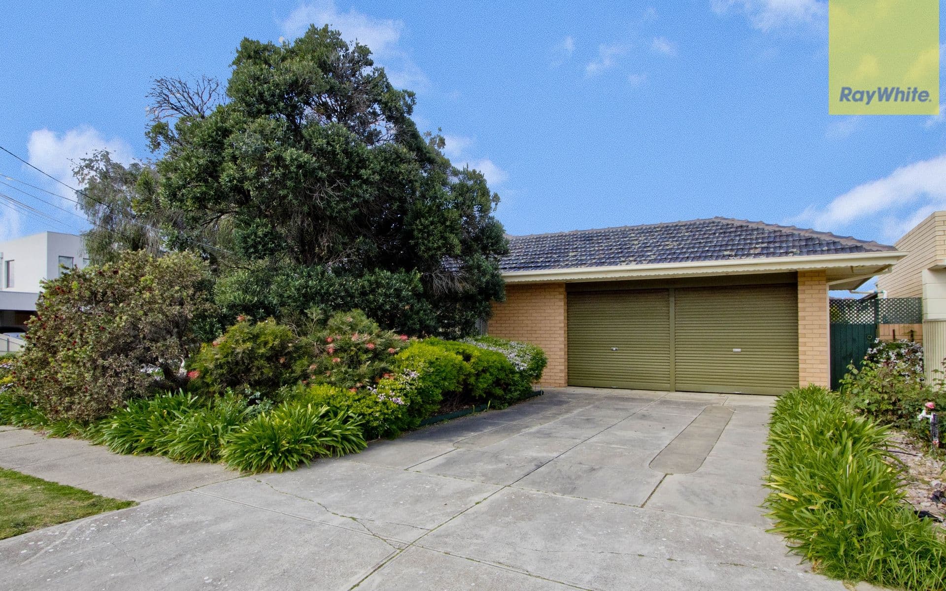 19 Gray Street, West Beach SA 5024, West Beach - Thumbnail 4