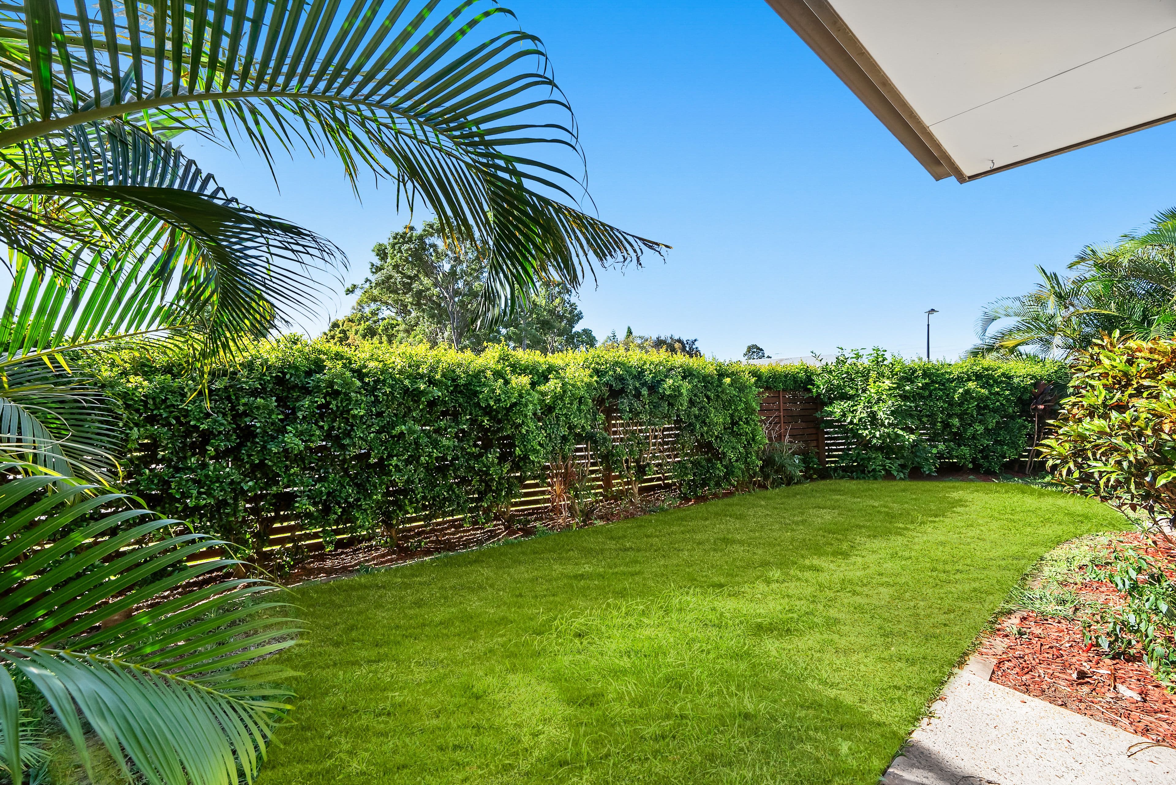 19 Summerlea Crescent, Ormeau QLD 4208, Ormeau - Thumbnail 3