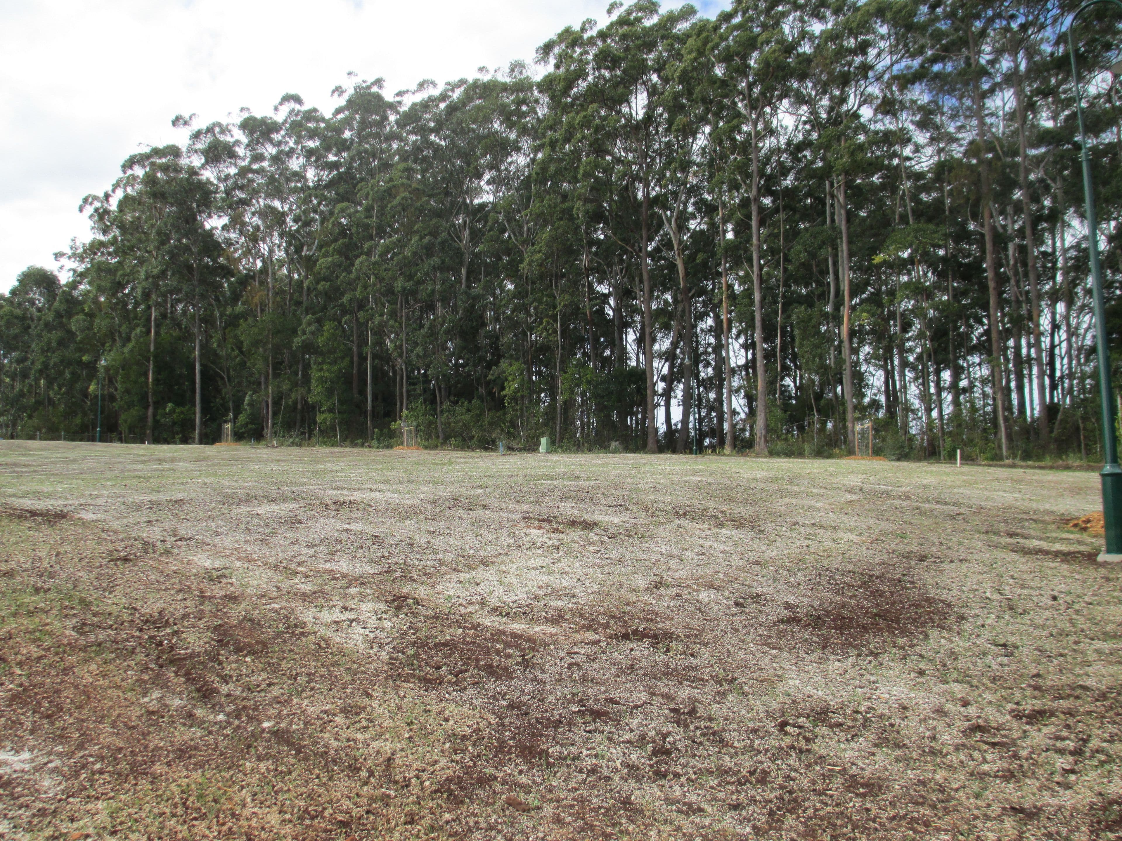 17 Usher Street, Port Macquarie - Image 1