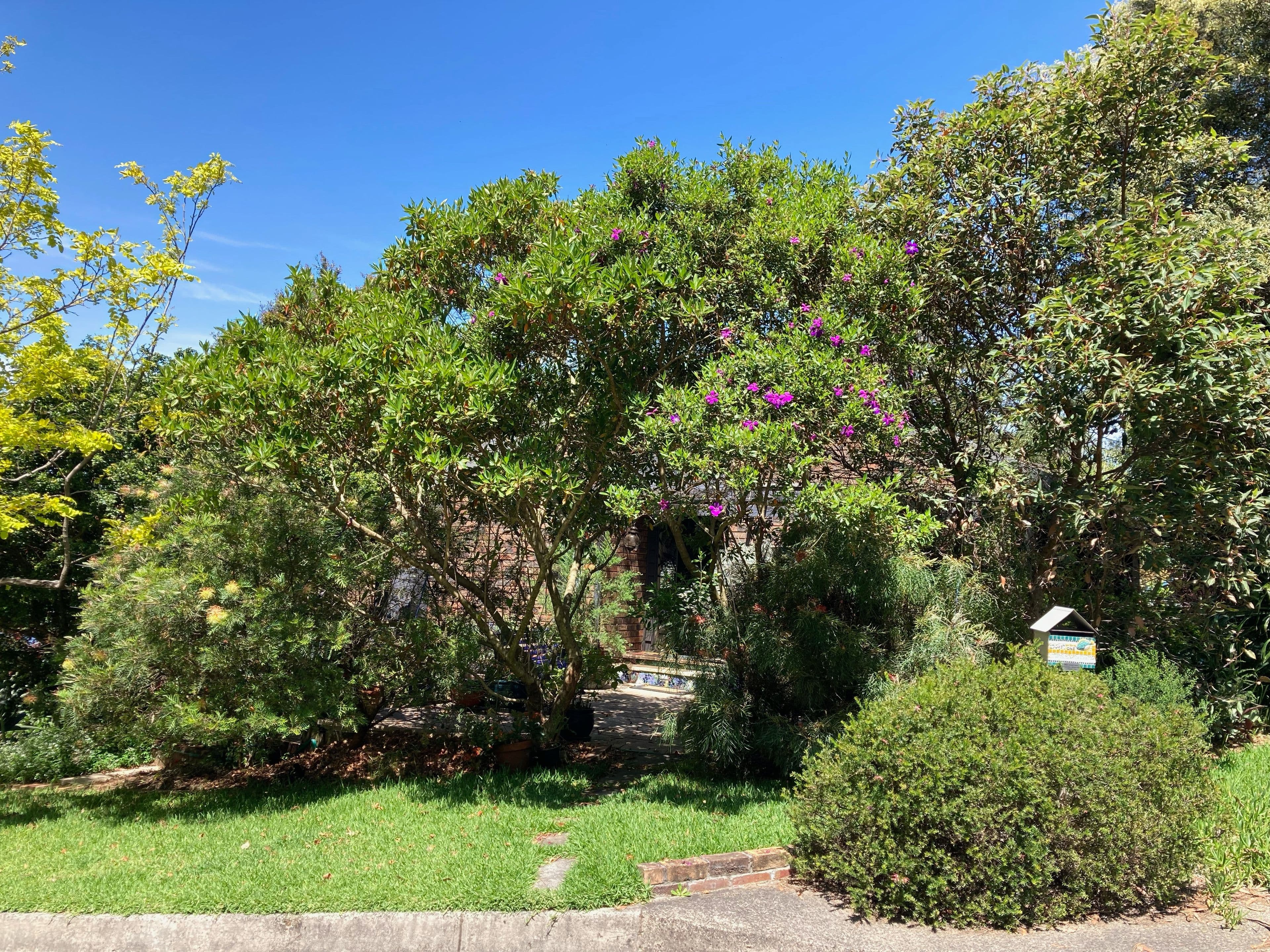 1 Cassandra Place, Stanwell Park NSW 2508, Stanwell Park - Thumbnail 2