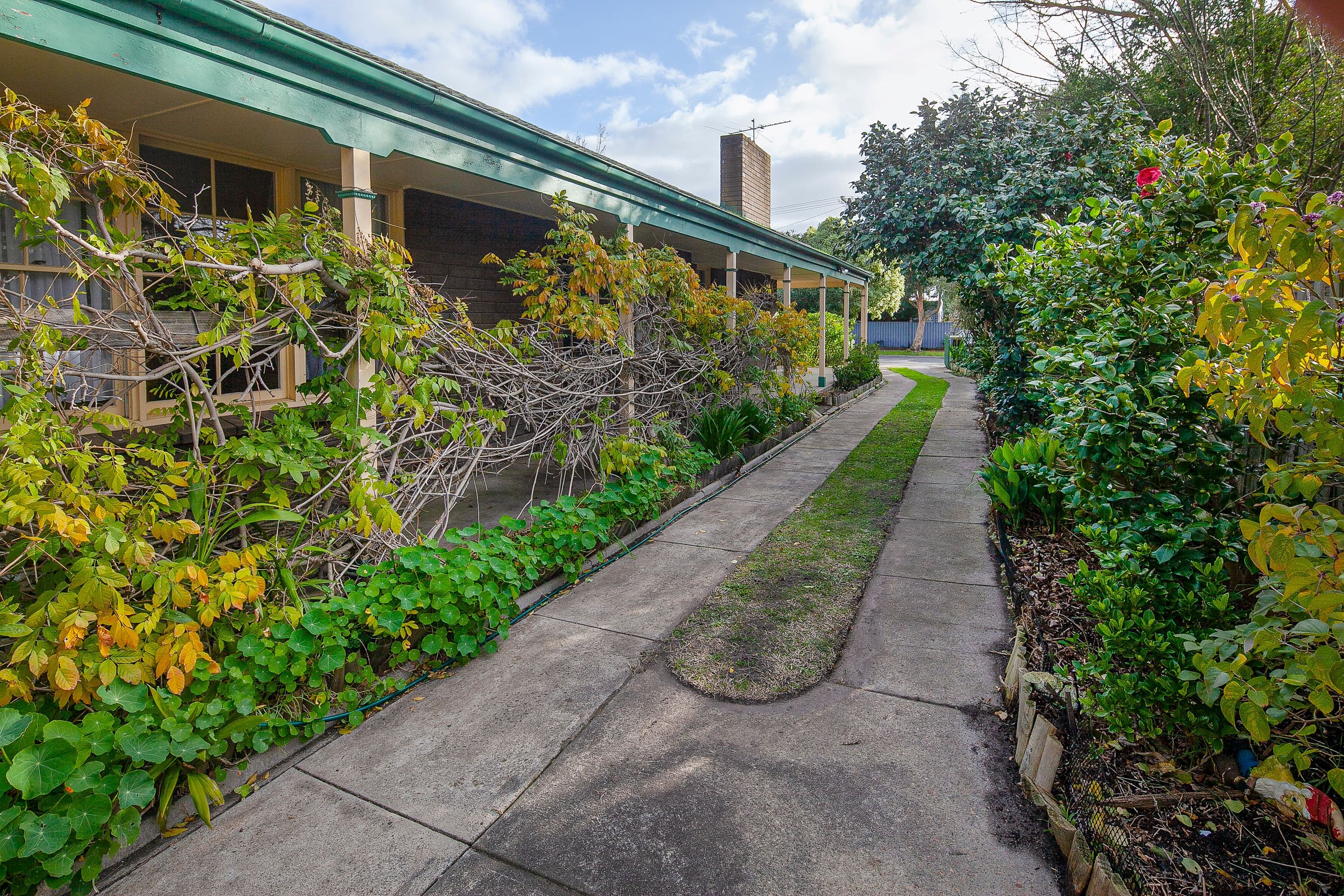 10 Coprosma Avenue, Frankston VIC 3199, Frankston - Thumbnail 2