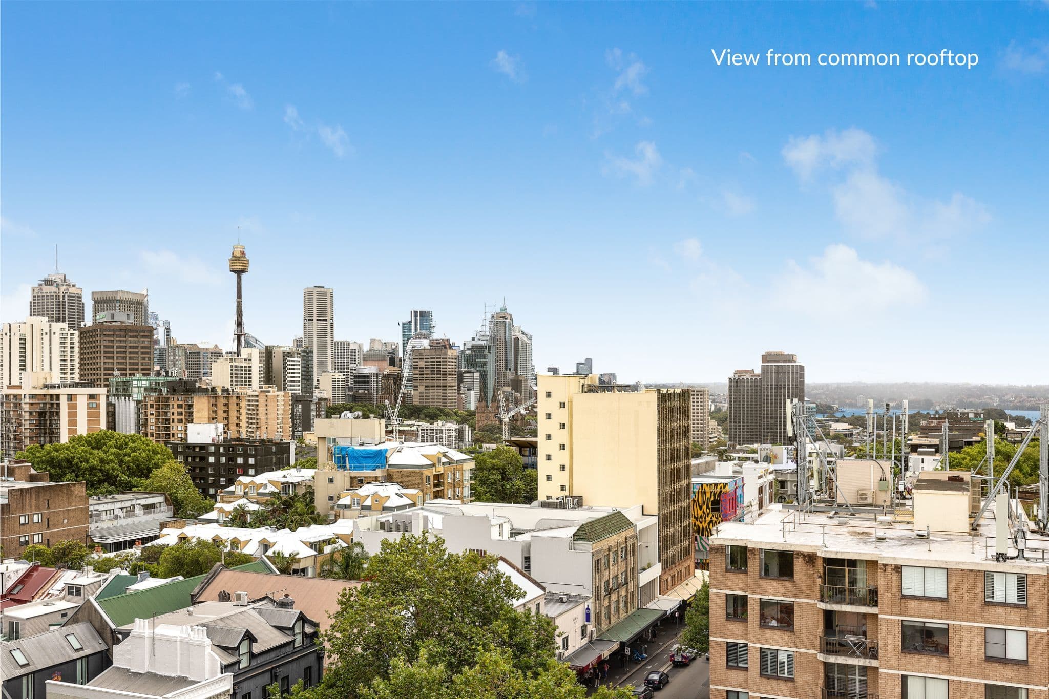 6 Short Street, Surry Hills NSW 2010, Surry Hills - Thumbnail 7