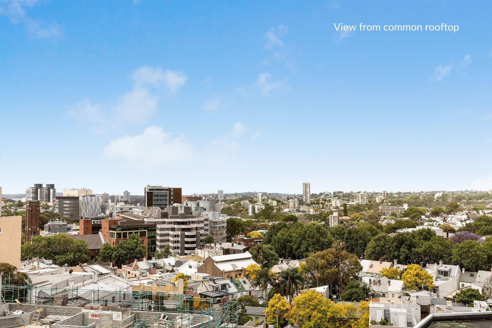 6 Short Street, Surry Hills NSW 2010, Surry Hills - Thumbnail 8