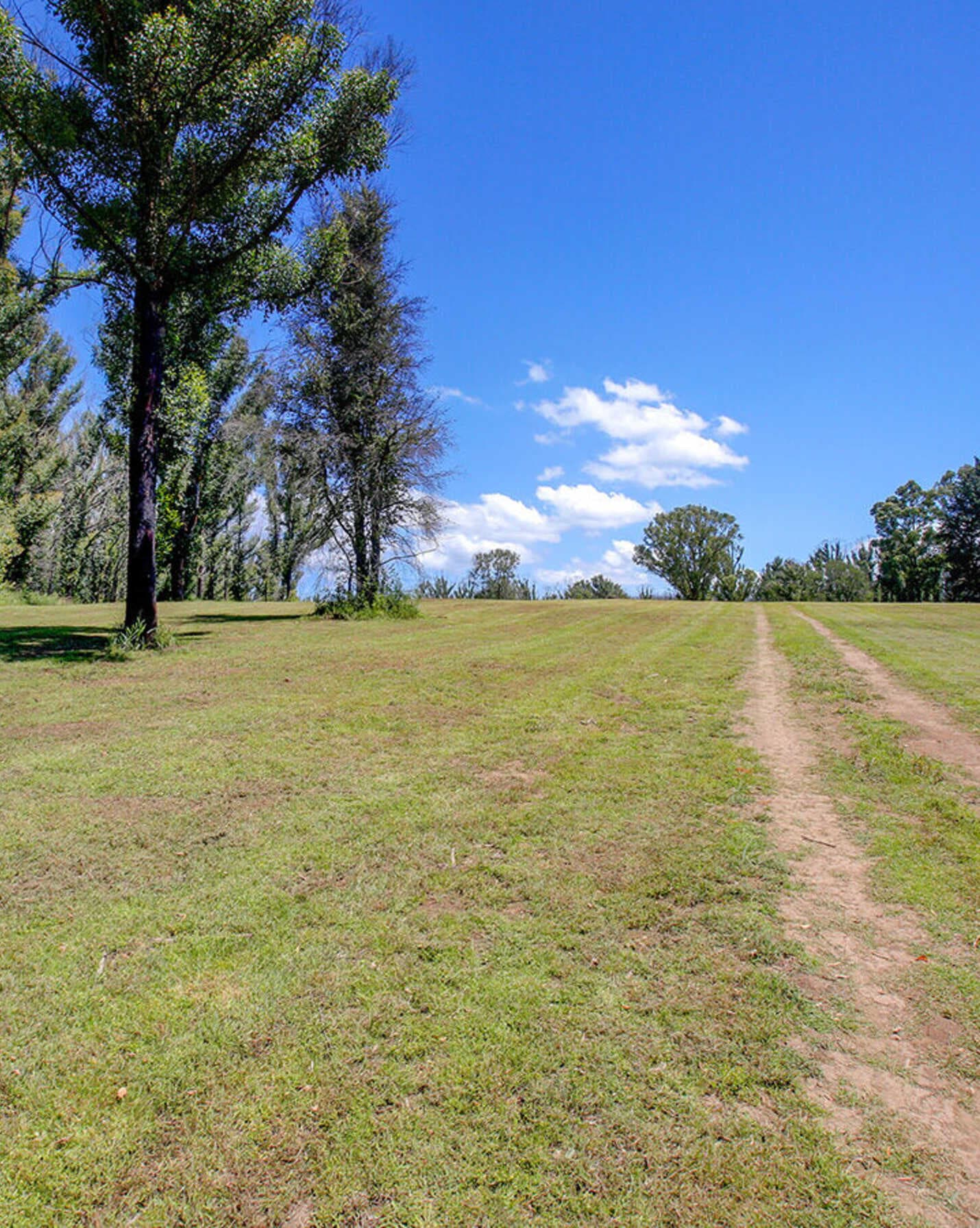 411 Spring Hill Road Meryla, Meryla - Thumbnail 5