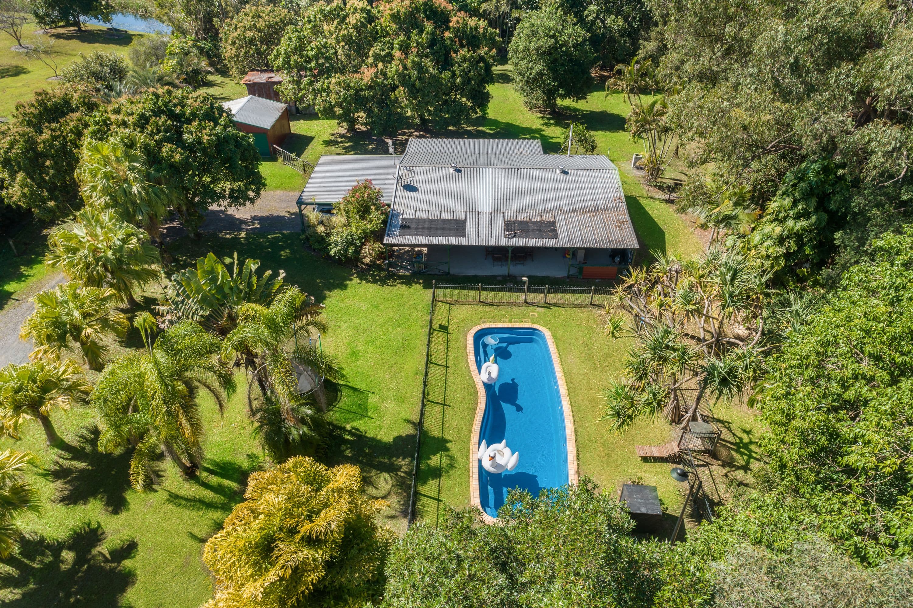 81 Hardwood Road, Landsborough QLD 4550, Landsborough - Thumbnail 2