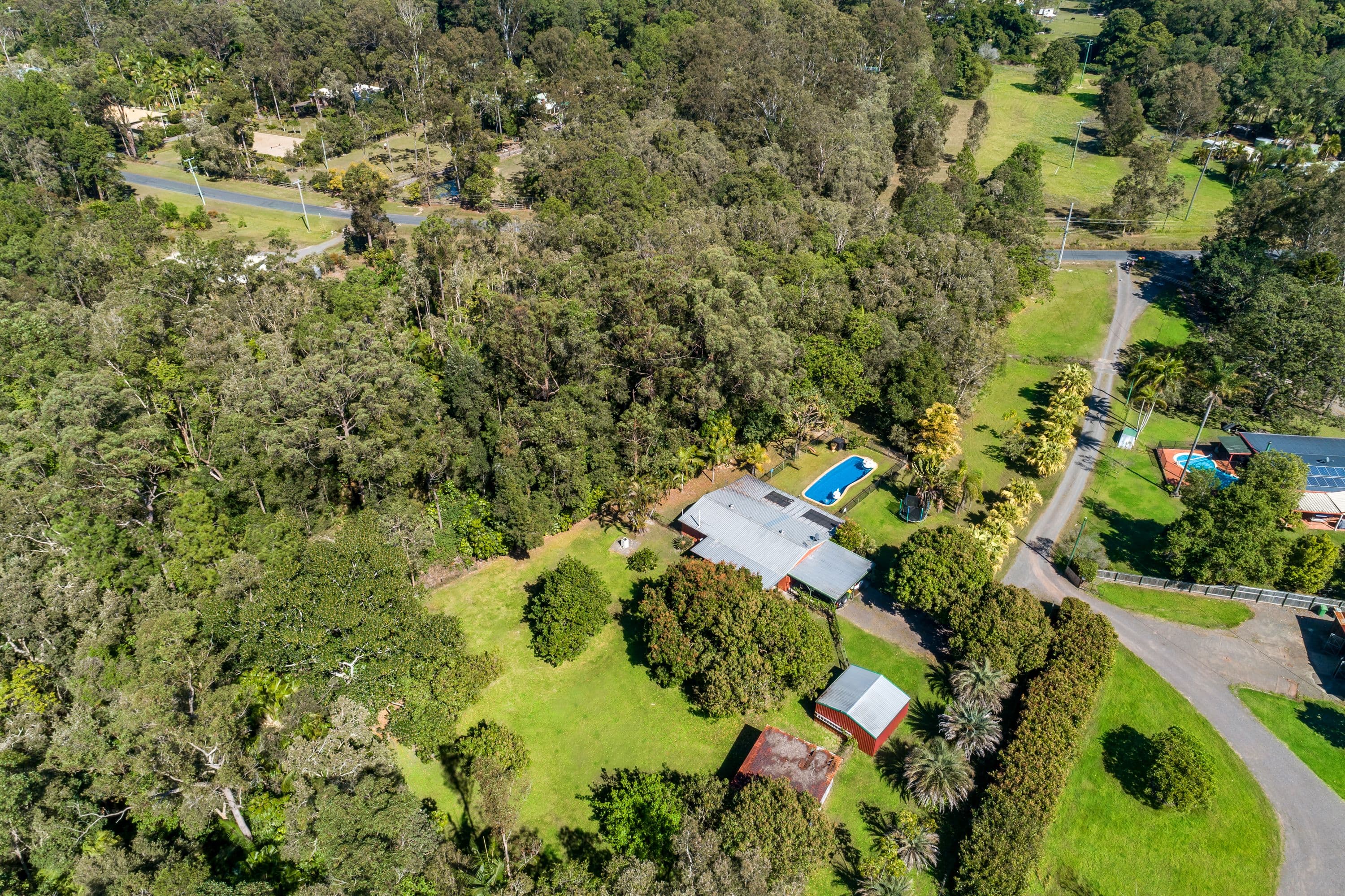 81 Hardwood Road, Landsborough QLD 4550, Landsborough - Thumbnail 4
