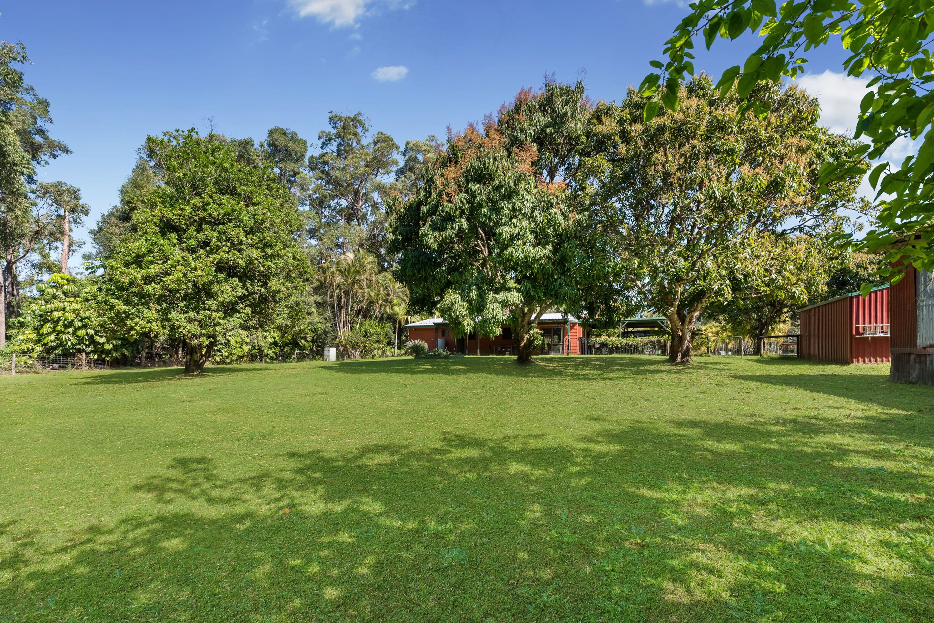 81 Hardwood Road, Landsborough QLD 4550, Landsborough - Thumbnail 7
