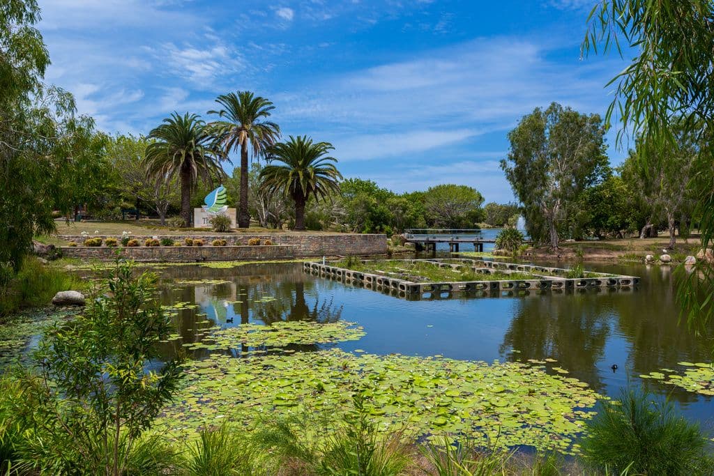 7 Olympus Drive, Robina QLD 4226, Robina - Thumbnail 2
