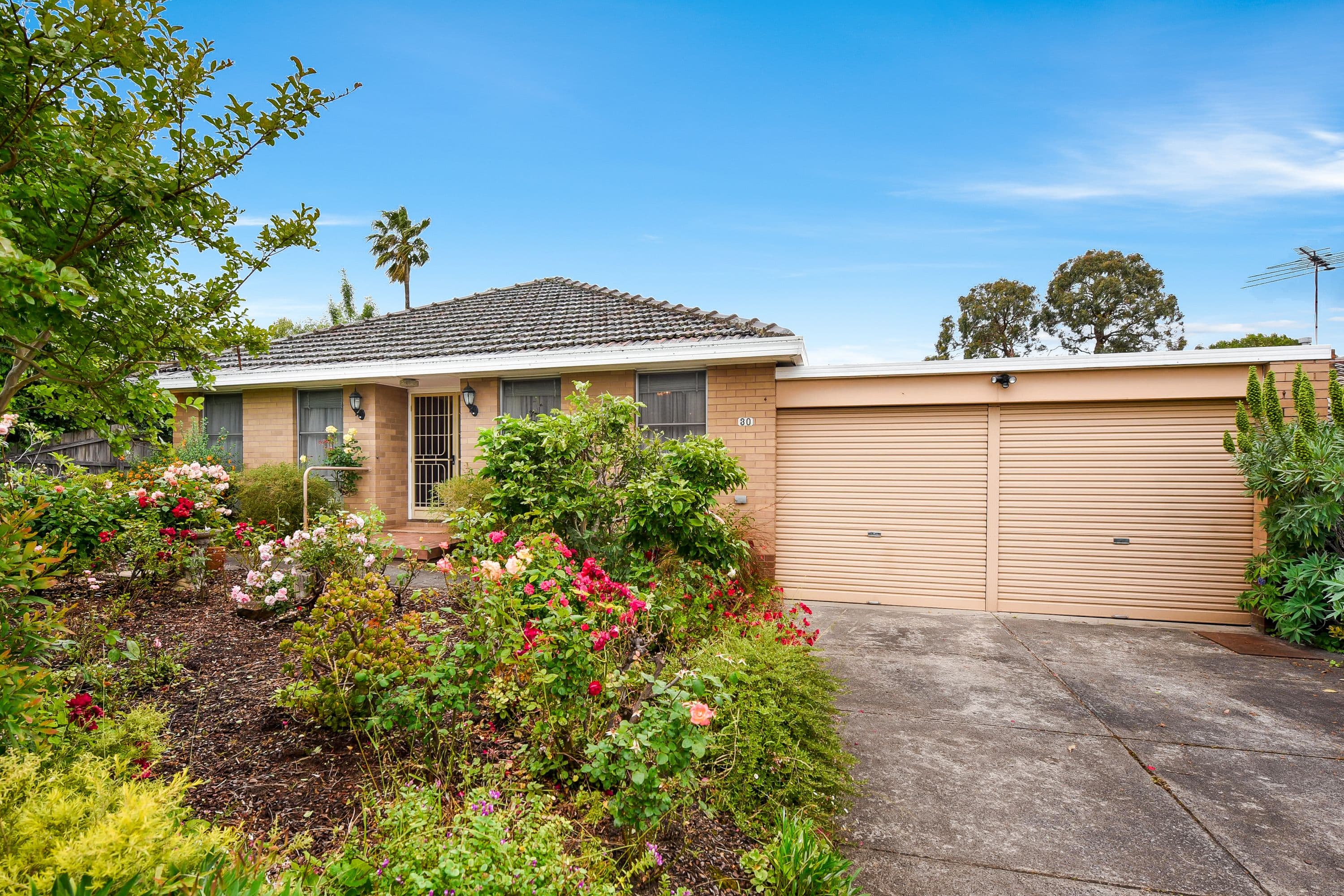30 Lechte Road, Mount Waverley VIC 3149, Mount Waverley - Thumbnail 3