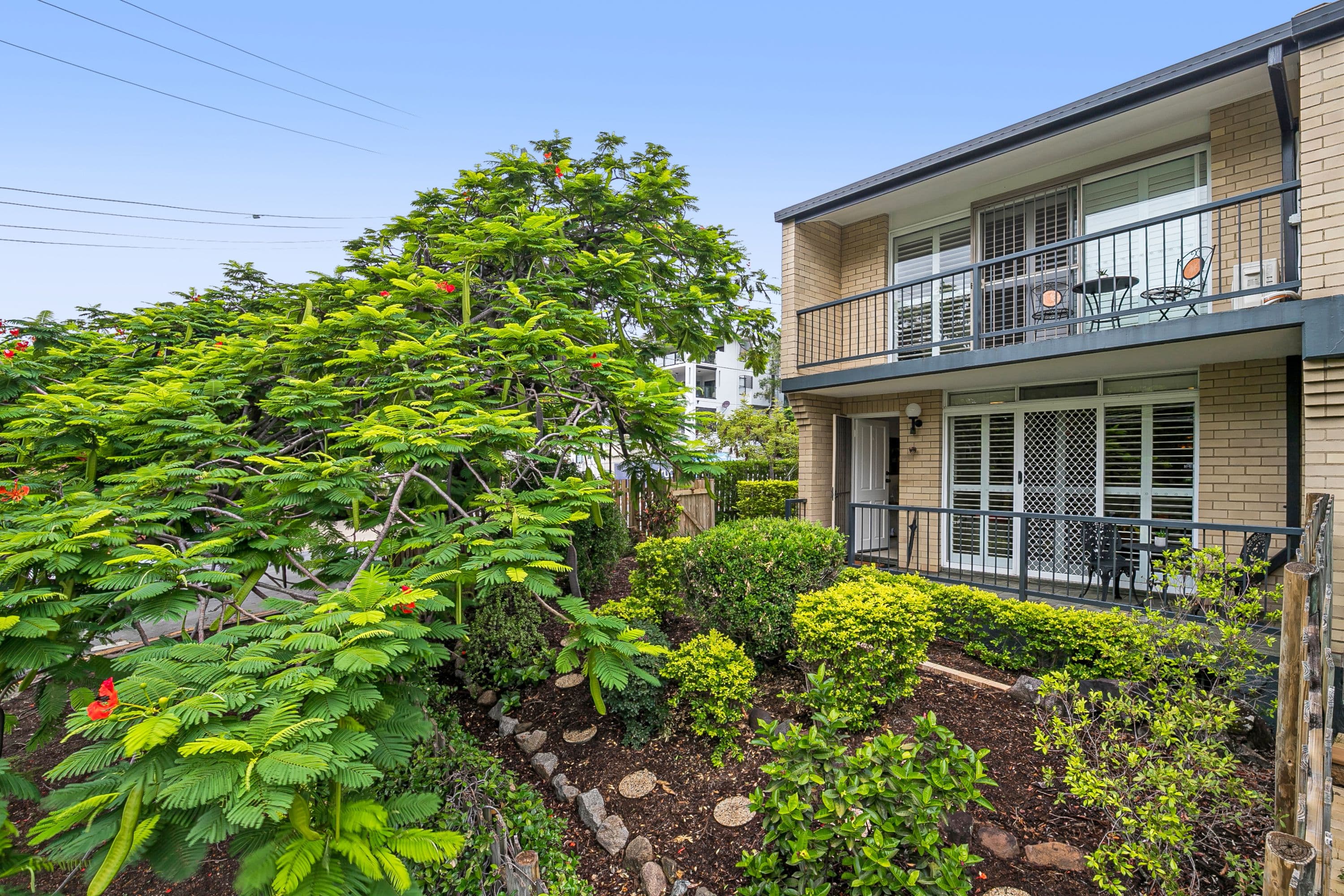 81 Sandford Street, St Lucia QLD 4067, St Lucia - Thumbnail 2