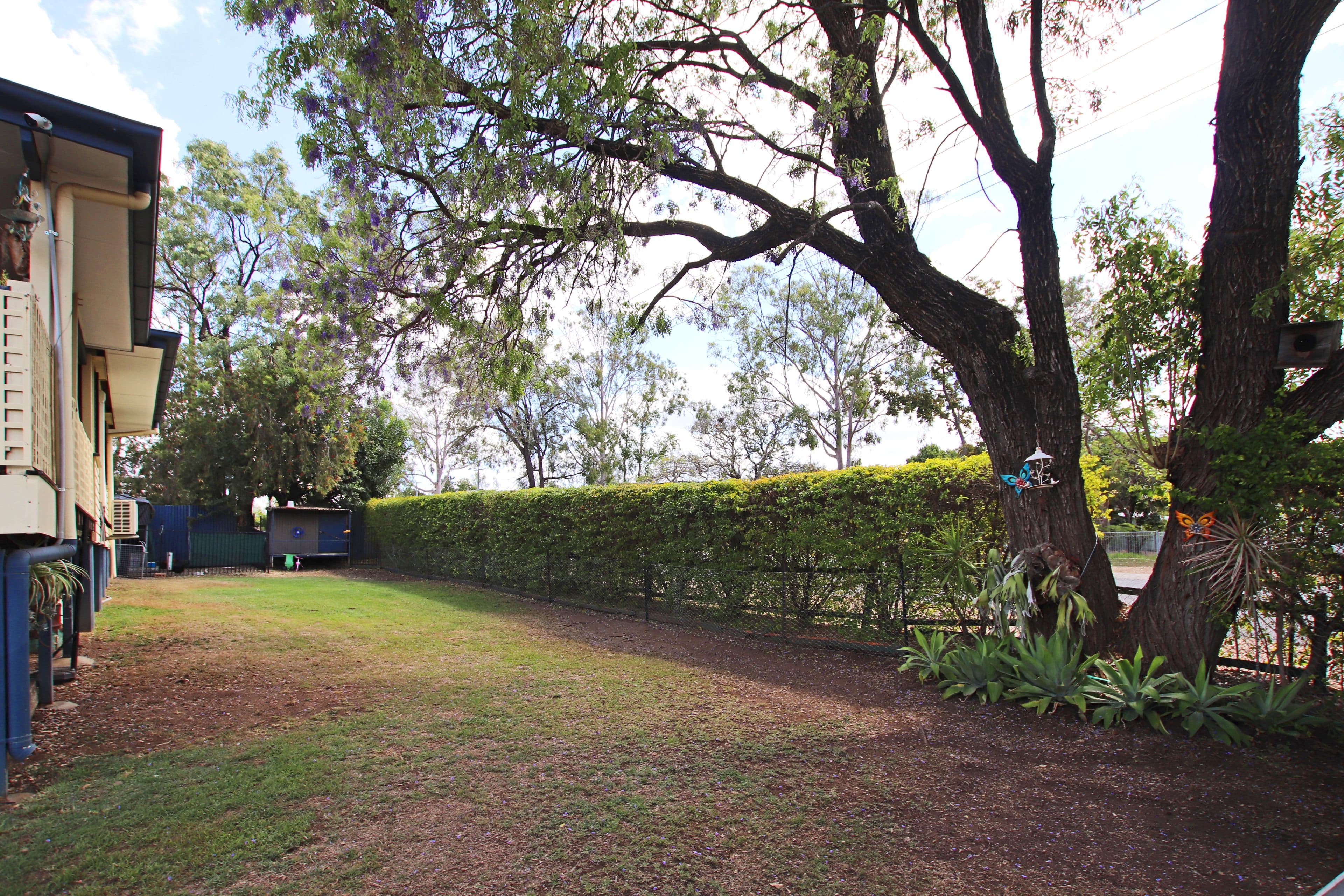 161 Rainbow Street, Biloela QLD 4715, Biloela - Thumbnail 6