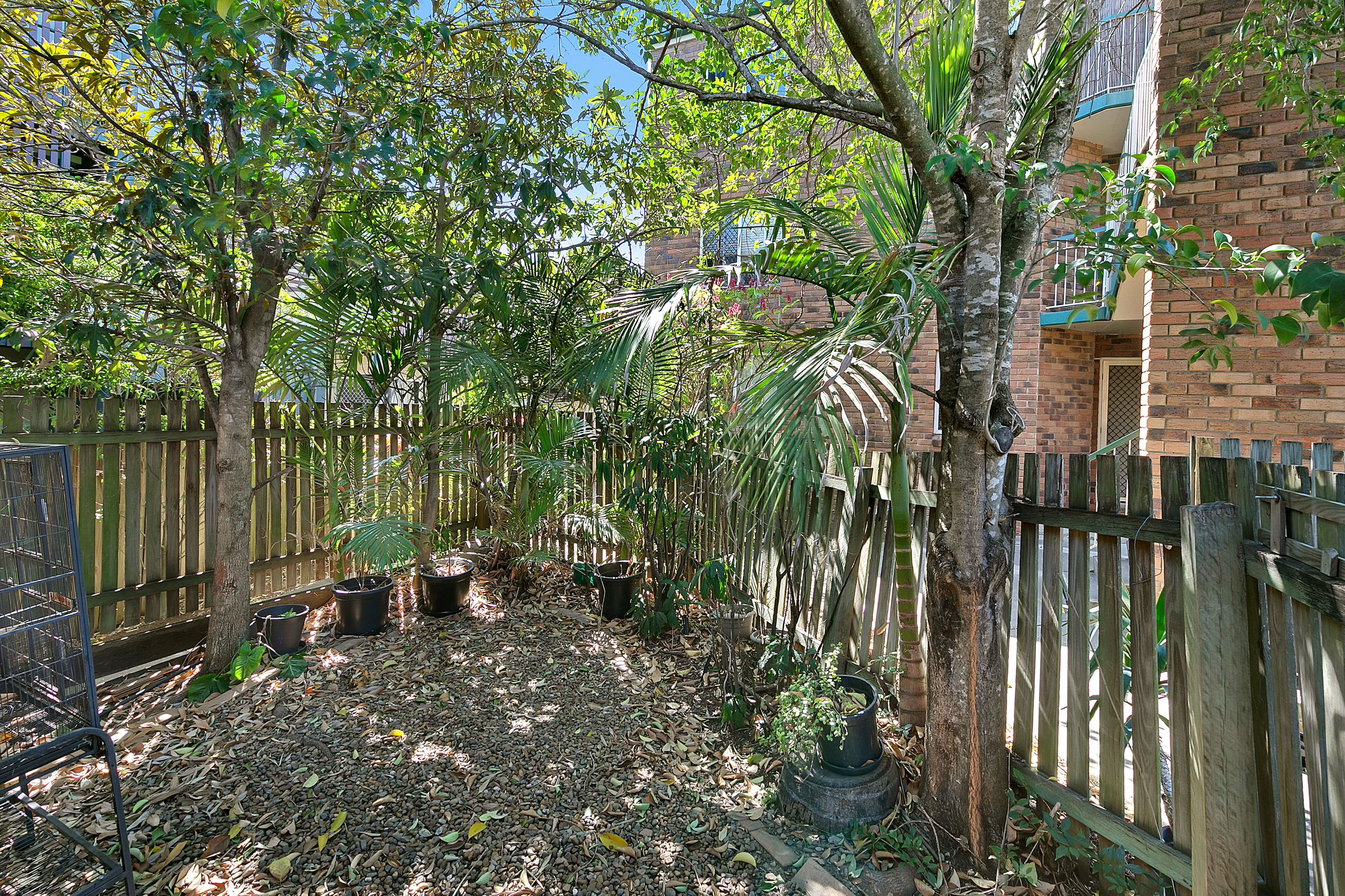 16 Wilkie Street, Yeerongpilly QLD 4105, Yeerongpilly - Thumbnail 8