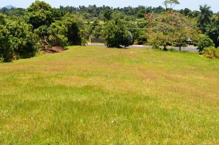 Lot 5 James Road, Mission Beach QLD 4852, Mission Beach - Thumbnail 5