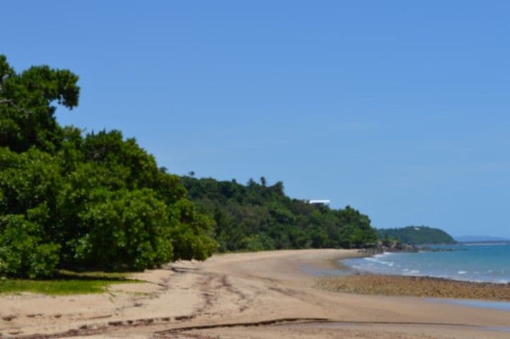 Lot 5 James Road, Mission Beach QLD 4852, Mission Beach - Thumbnail 7