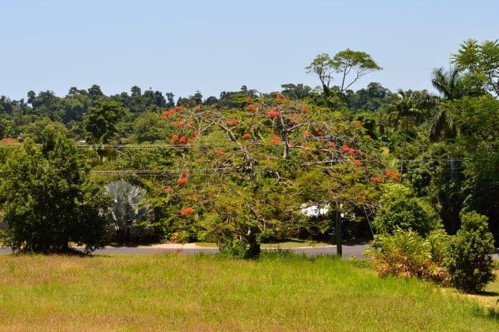 Lot 5 James Road, Mission Beach QLD 4852, Mission Beach - Thumbnail 8