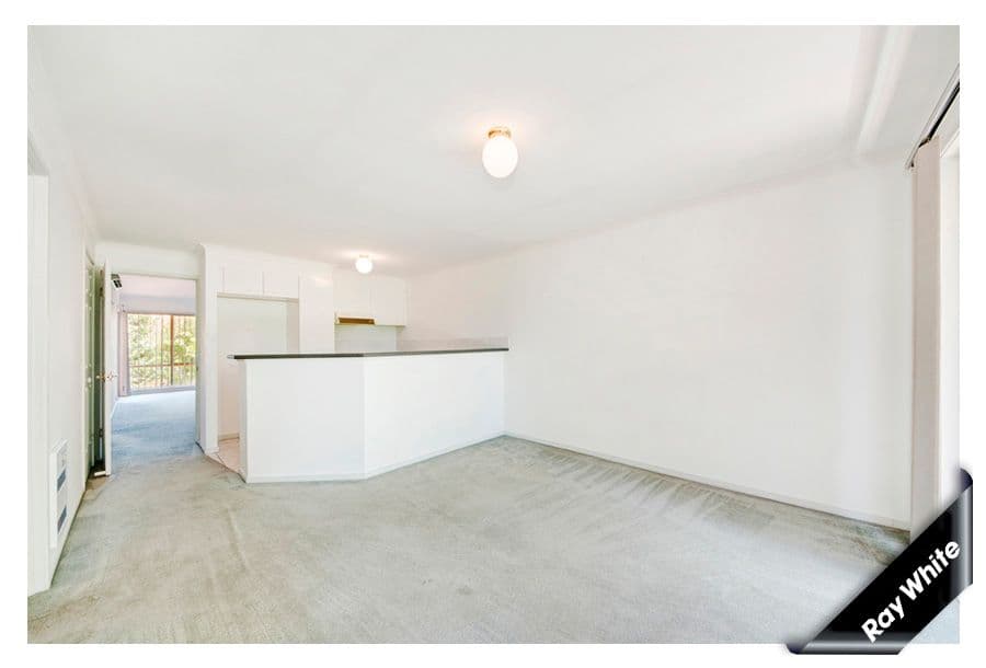 44 Jerrabomberra Avenue, NARRABUNDAH ACT 2604, Narrabundah - Thumbnail 4