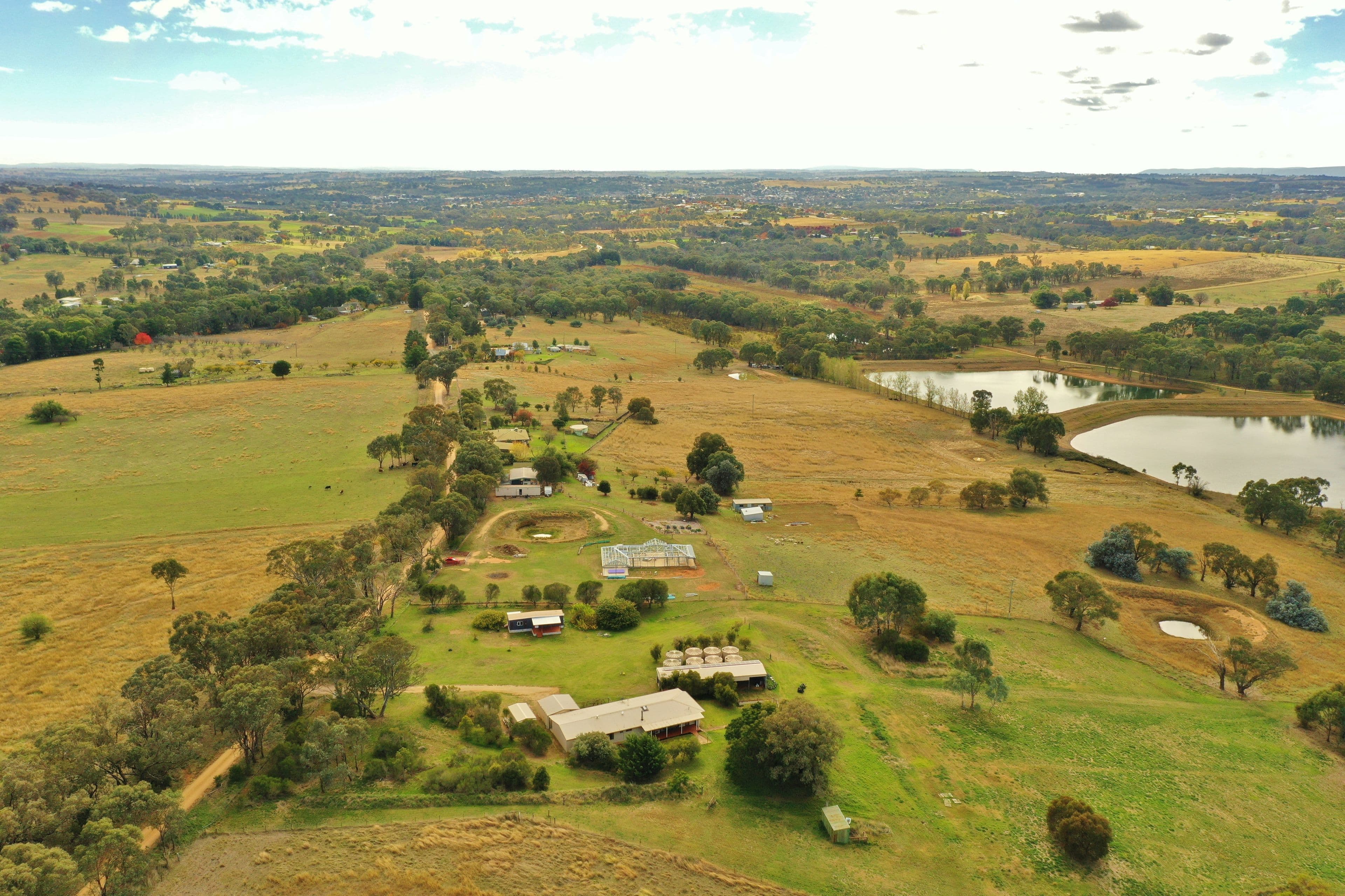 97 Tierneys Road, Young NSW 2594, Young - Thumbnail 4