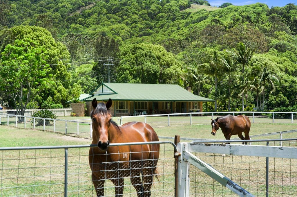 915 Currumbin Creek Road, Currumbin Valley QLD 4223, Currumbin Valley - Image 1