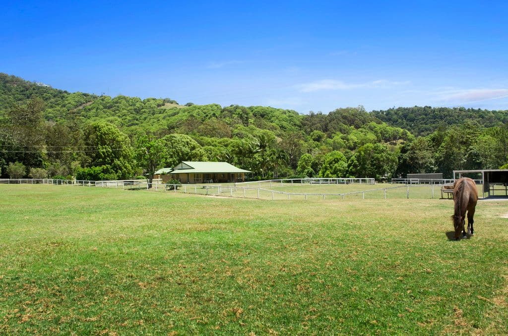 915 Currumbin Creek Road, Currumbin Valley QLD 4223, Currumbin Valley - Thumbnail 3