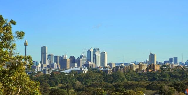 16A Frances Street, RANDWICK NSW 2031, Randwick - Thumbnail 6