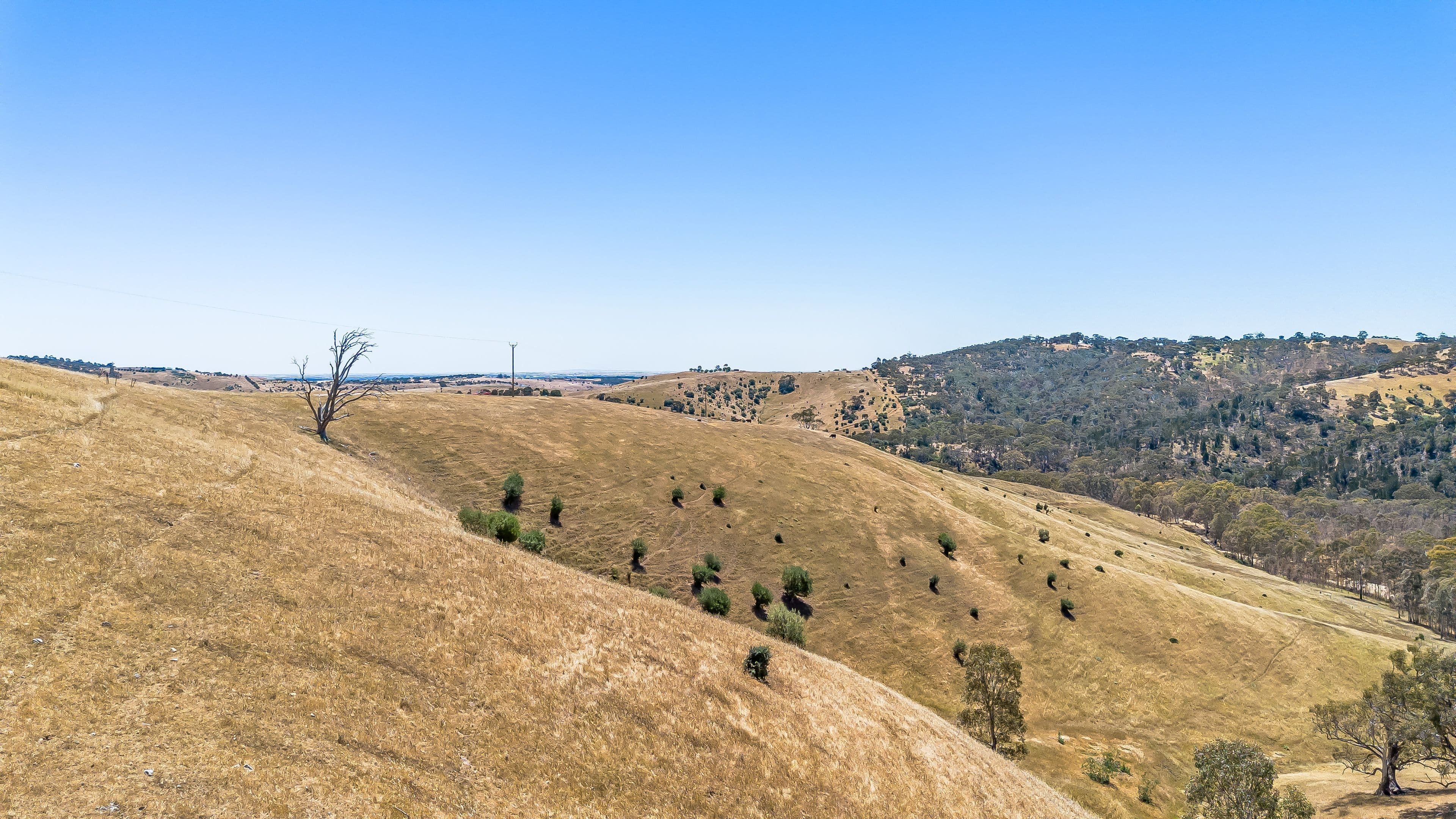 Lot 101 Glenburnie (also known as Toolunga) Road, Yattalunga SA 5114, Yattalunga - Thumbnail 4