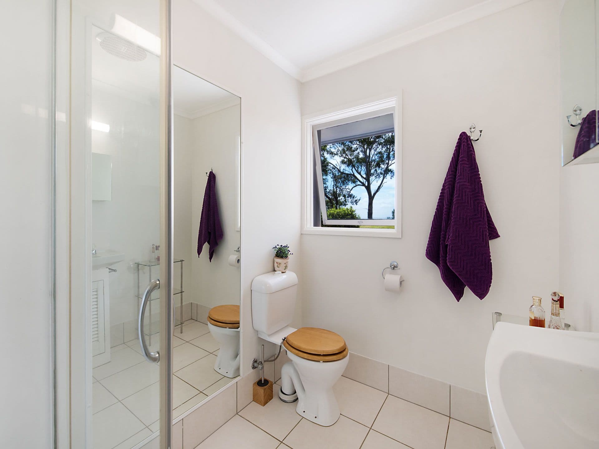 26 Rowan Lane, Mount Mellum QLD 4550, Mount Mellum - Thumbnail 8