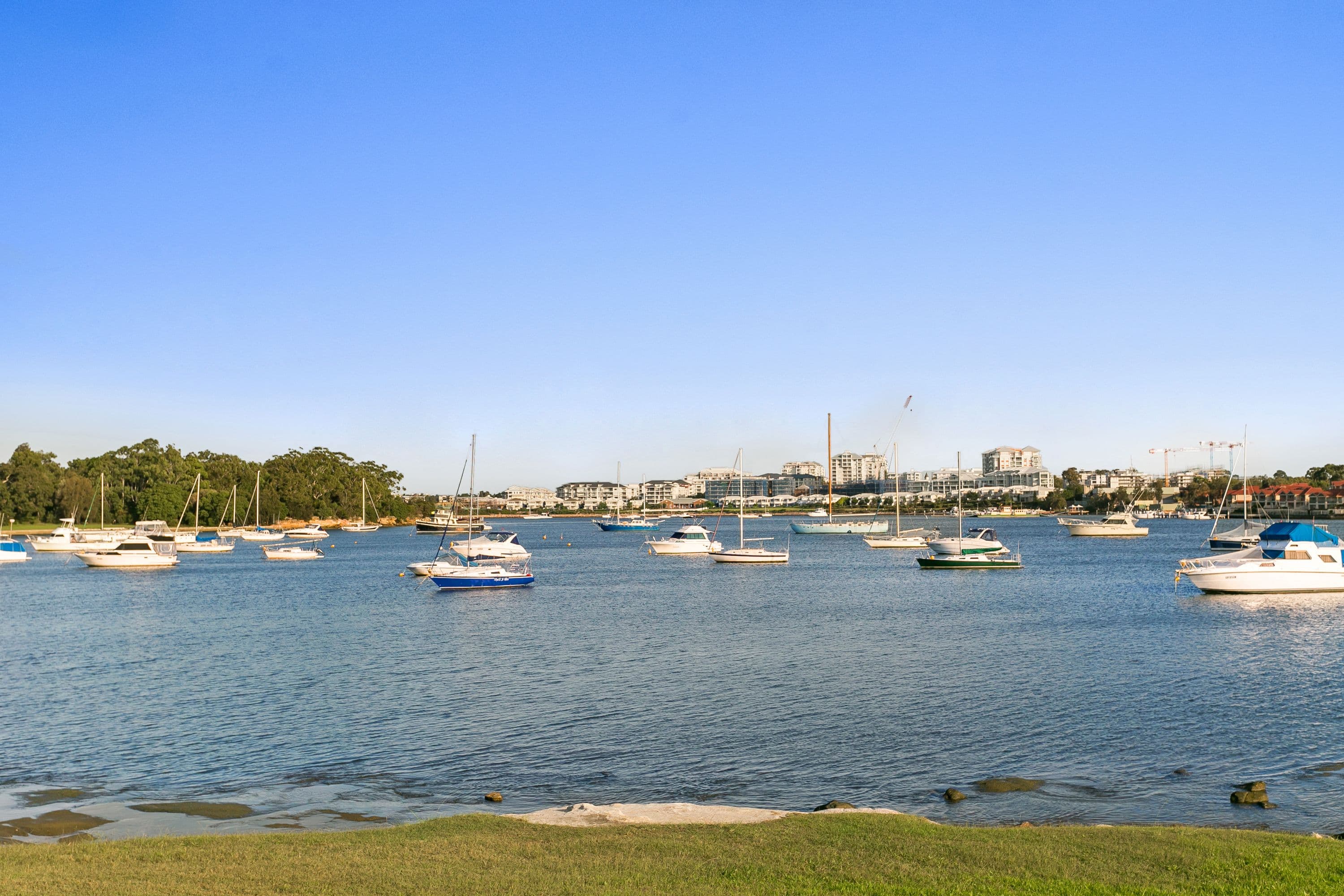 101 Waterview Street, Putney NSW 2112, Putney - Thumbnail 2
