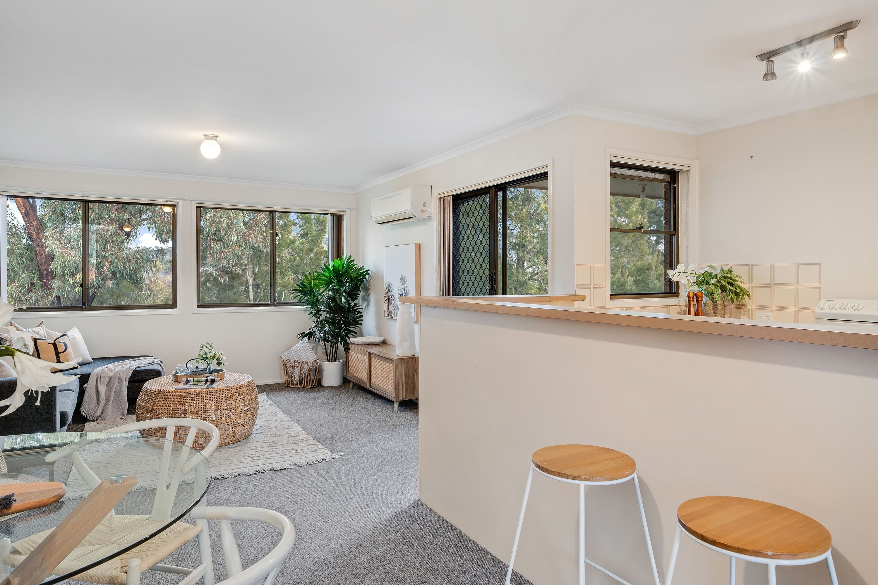 4 Heard Street, Mawson ACT 2607, Mawson - Thumbnail 7