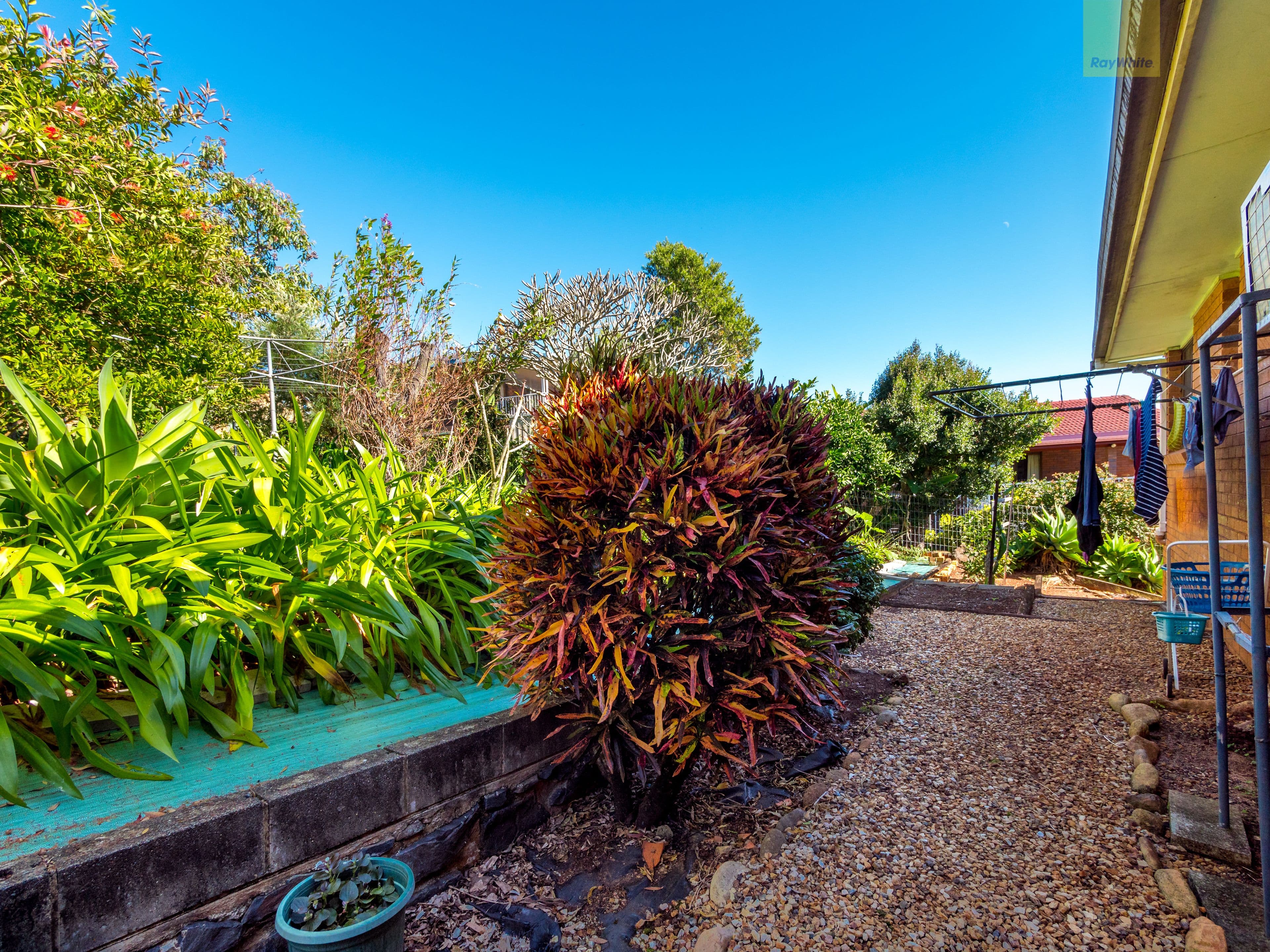 10 Northview Court, Goonellabah NSW 2480, Goonellabah - Thumbnail 4