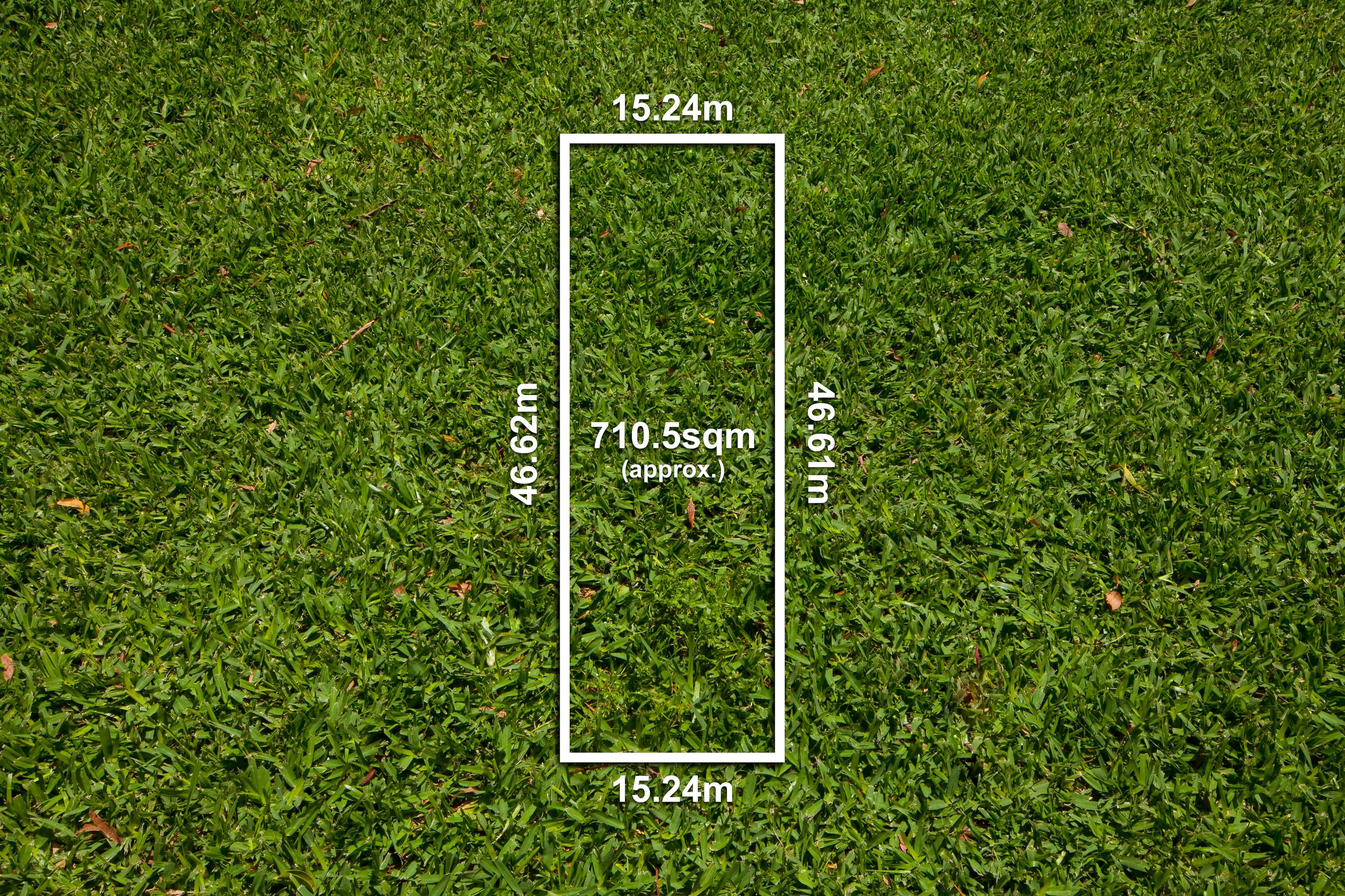 16 Jenner Street, Blackburn South VIC 3130, Blackburn South - Thumbnail 2