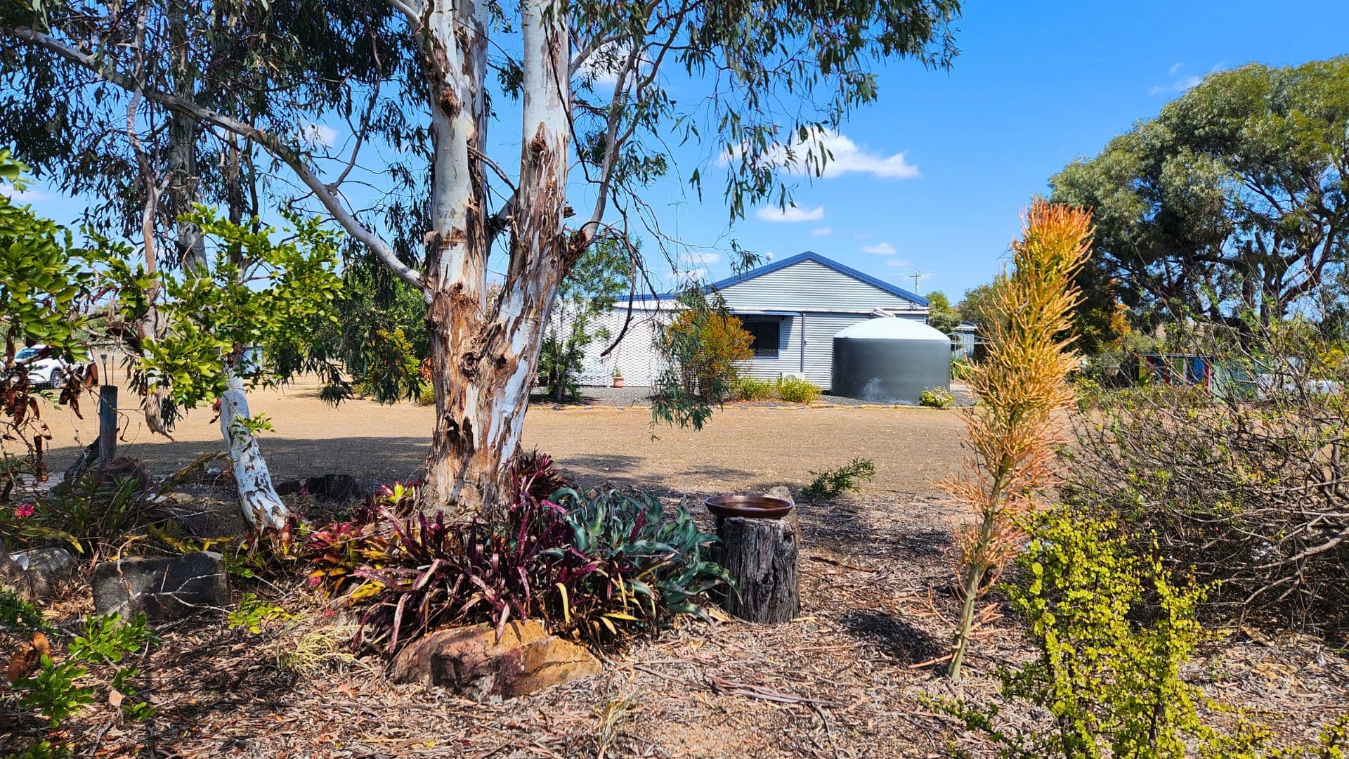 37 Boyd Road, Gayndah QLD 4625, Gayndah - Thumbnail 5