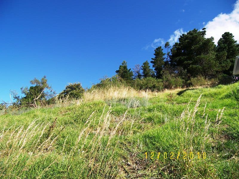 420  Huon Road, SOUTH HOBART TAS 7004, South Hobart - Thumbnail 4
