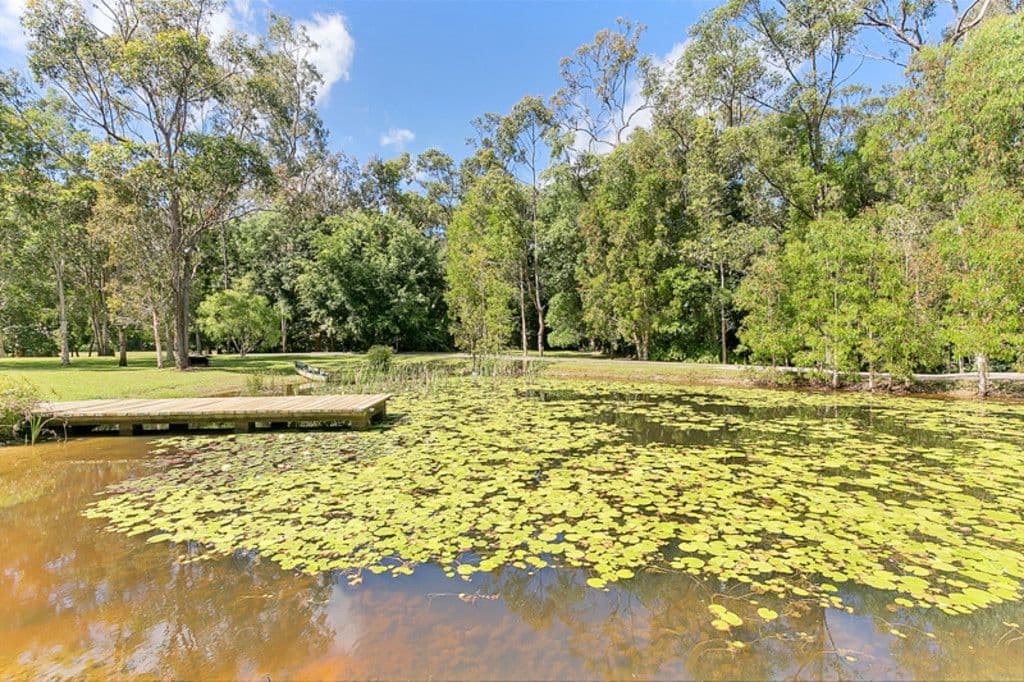9 Cardinia Boulevard, Speewah QLD 4881, Speewah - Thumbnail 5