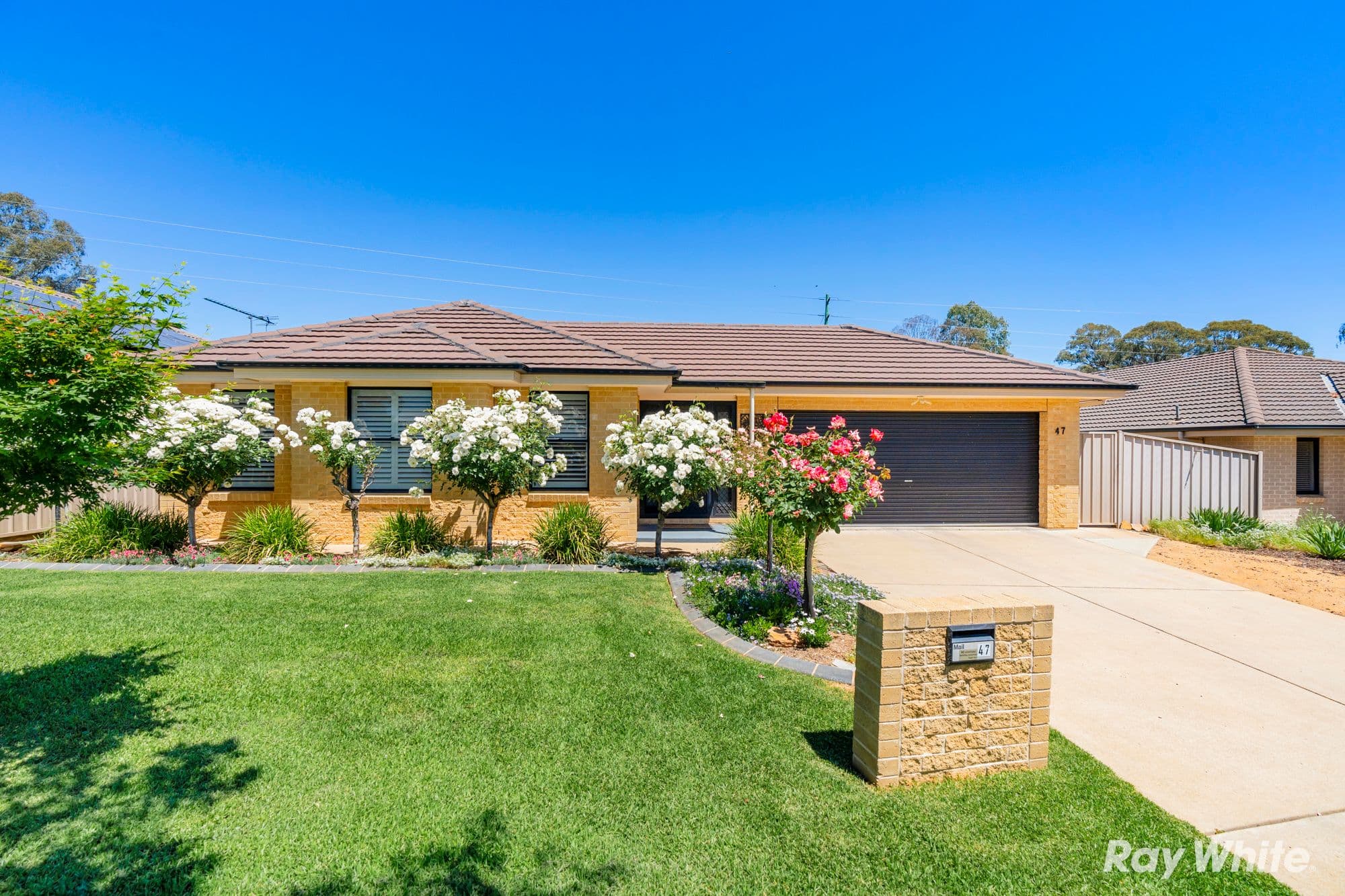 47 Swan Street, Ashmont NSW 2650, Ashmont - Image 1
