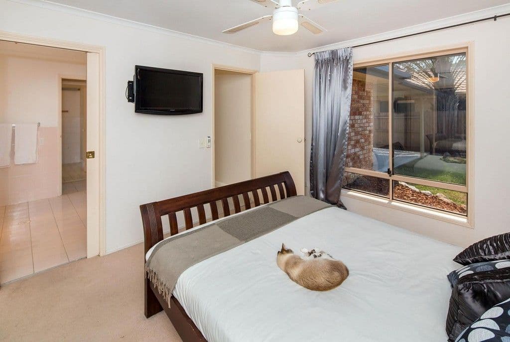 3 Pentland Court, HELENSVALE QLD 4212, Helensvale - Thumbnail 4
