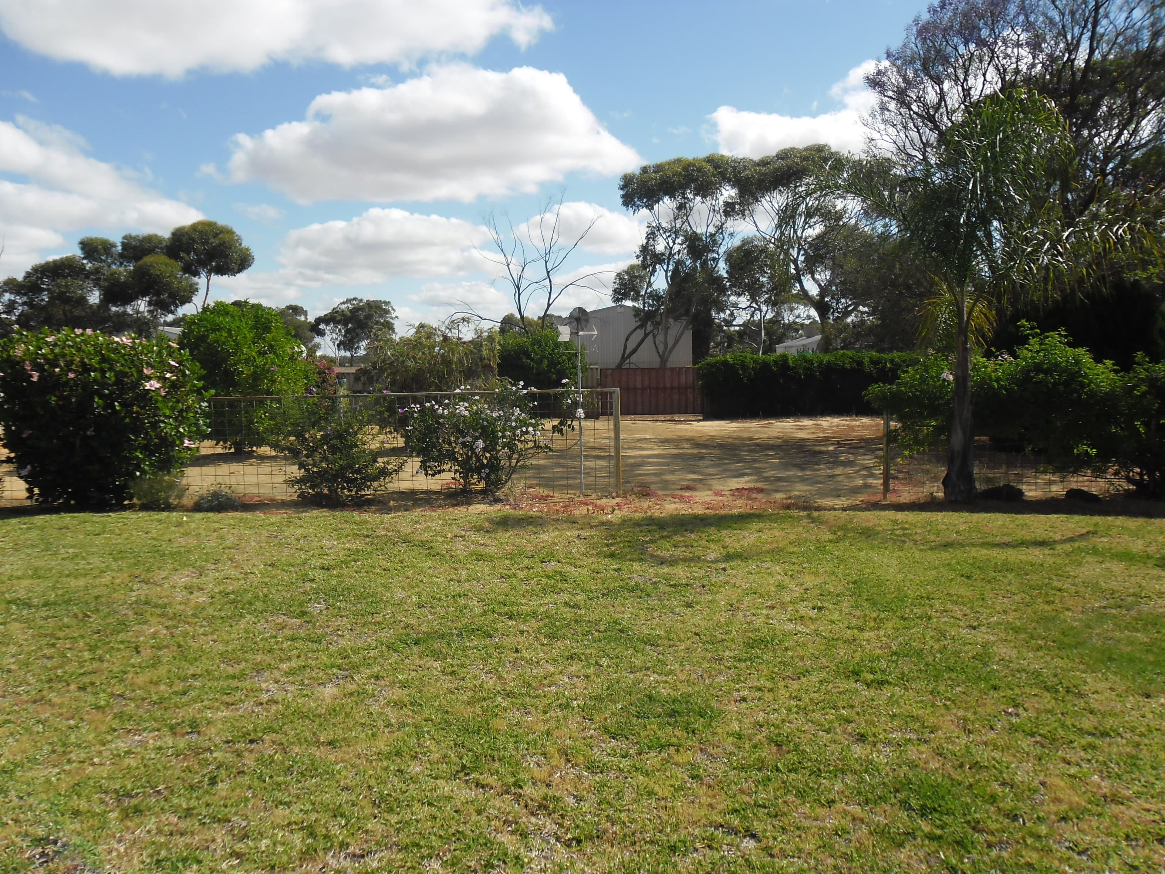 88 Williamson Street, Three Springs WA 6519, Three Springs - Thumbnail 3