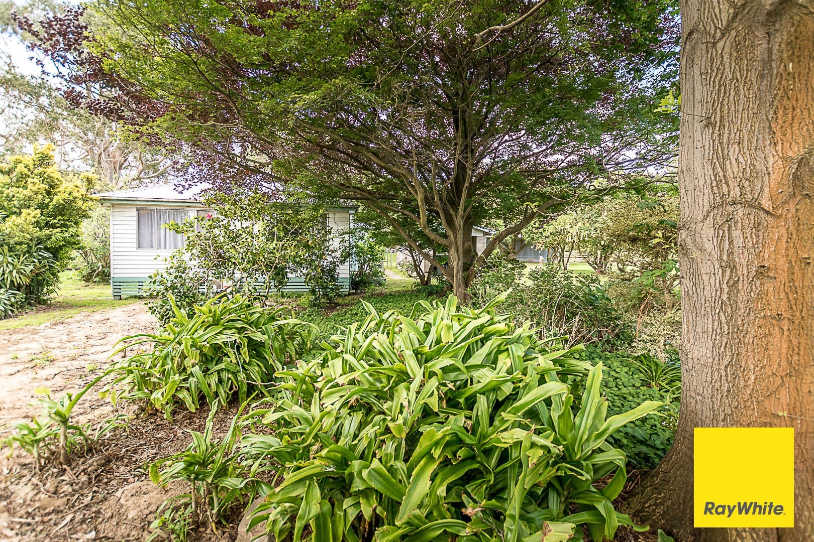 4825 South Gippsland Highway, Toora VIC 3962, Toora - Thumbnail 4