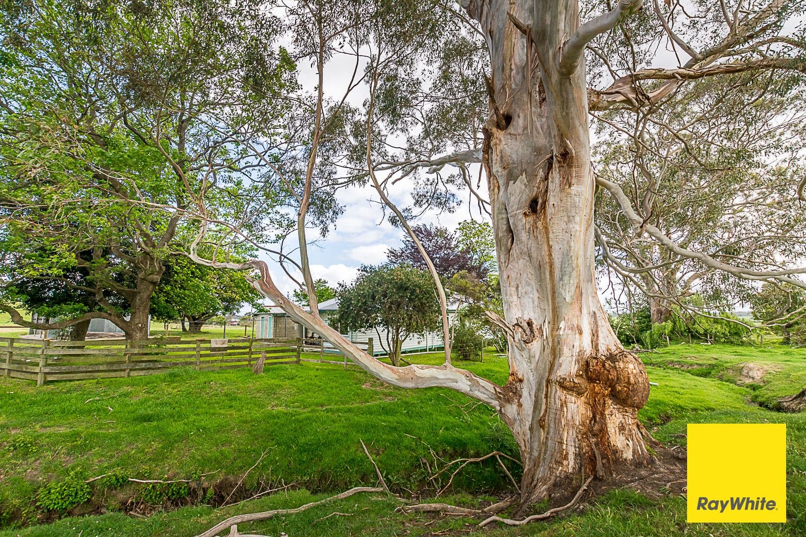 4825 South Gippsland Highway, Toora VIC 3962, Toora - Thumbnail 6