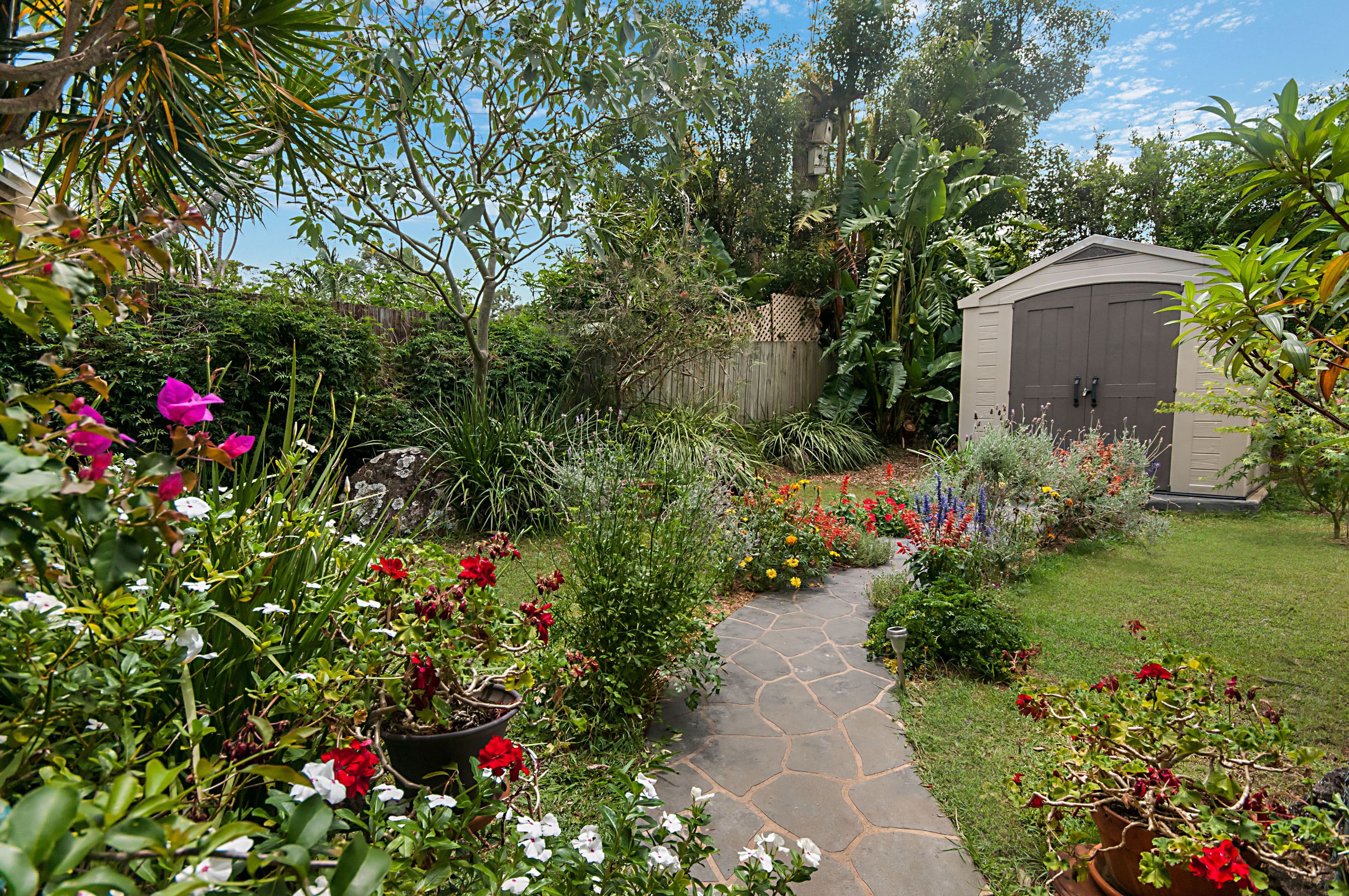 57 Tristania Street, Bangalow - Thumbnail 2