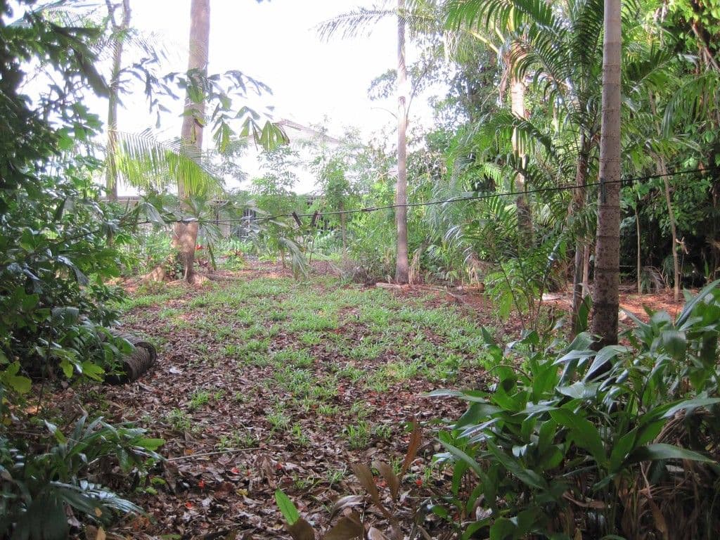 34 Philip Street, FANNIE BAY NT 0820, Fannie Bay - Thumbnail 2