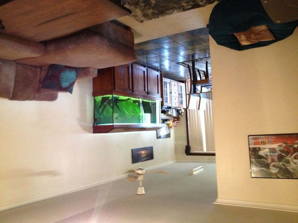 167 Anderson Street, SPALDING WA 6530, Spalding - Thumbnail 4