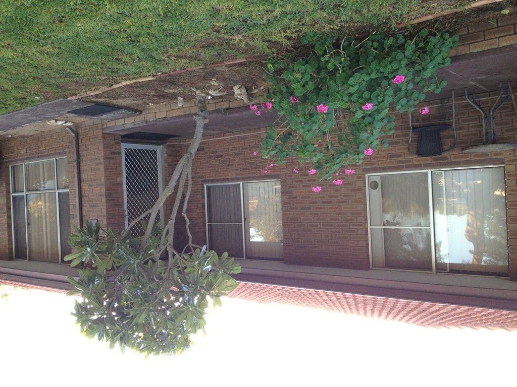 167 Anderson Street, SPALDING WA 6530, Spalding - Thumbnail 8