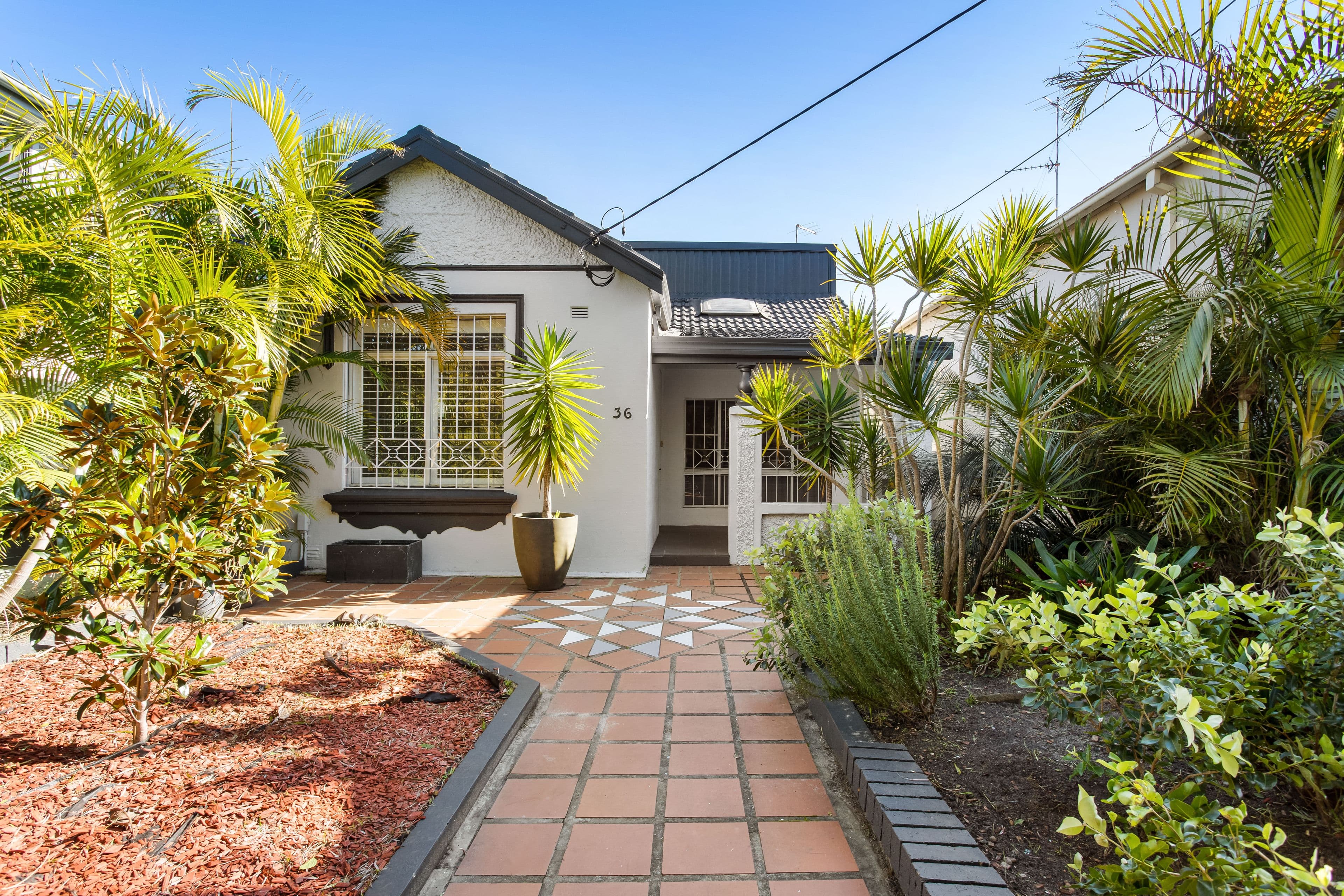 36 Canberra Street, Randwick NSW 2031, Randwick - Image 1