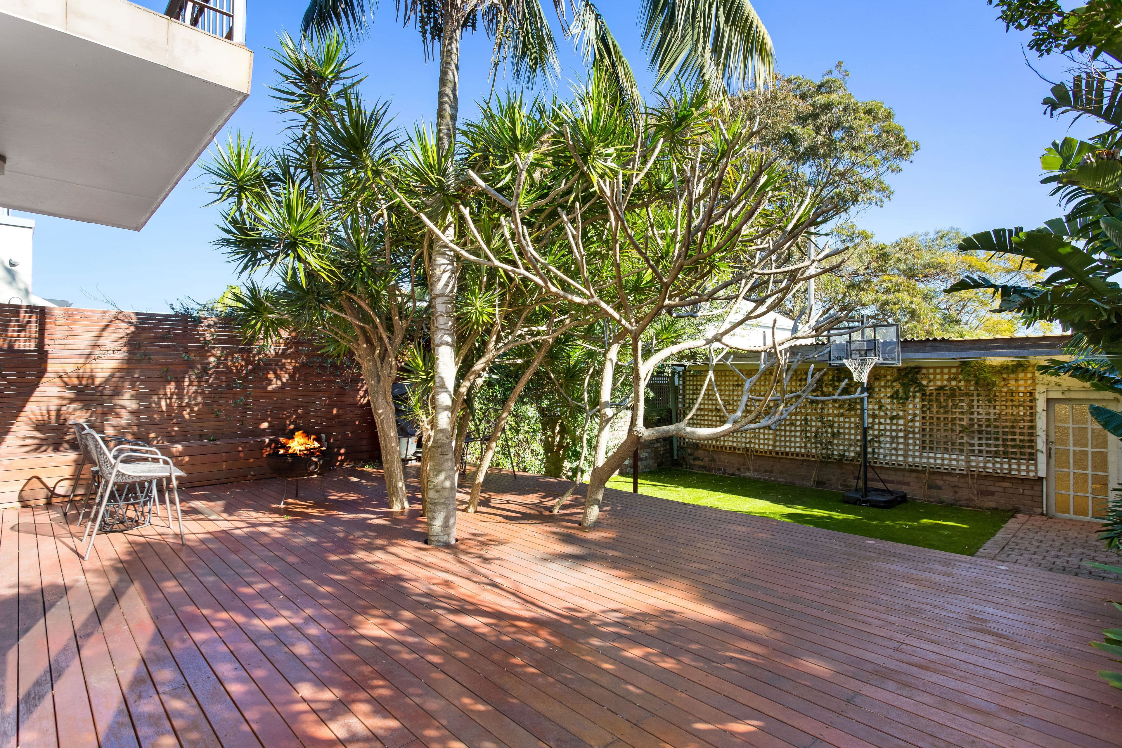 36 Canberra Street, Randwick NSW 2031, Randwick - Thumbnail 5
